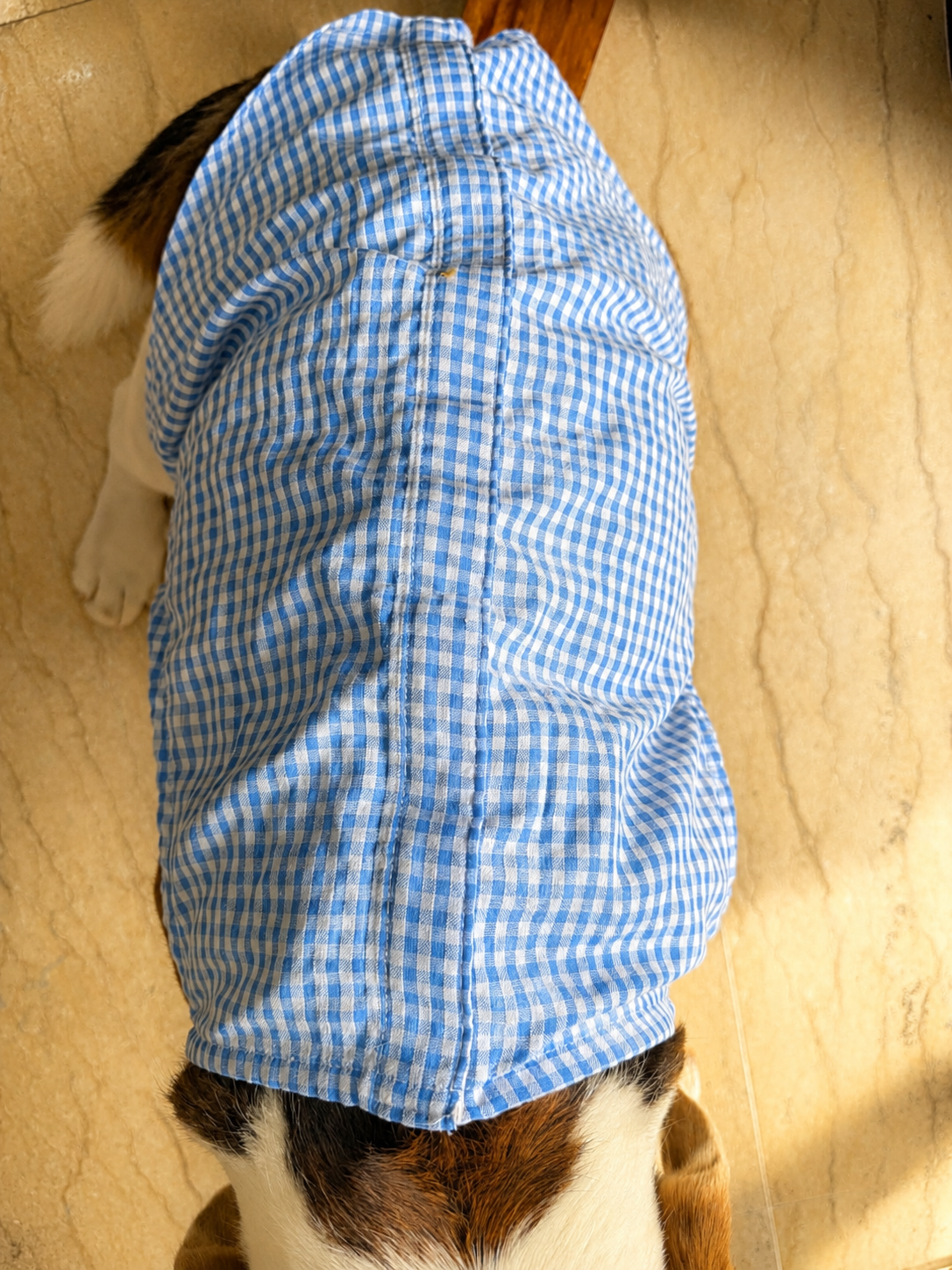 Blue Gingham Slip