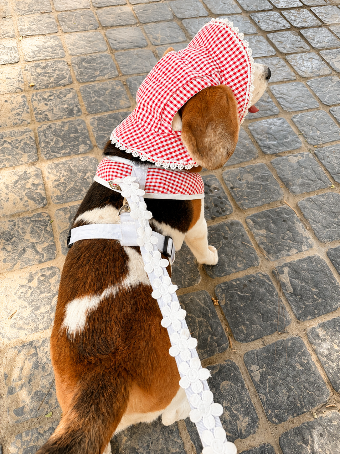 Red Gingham Hat Harness