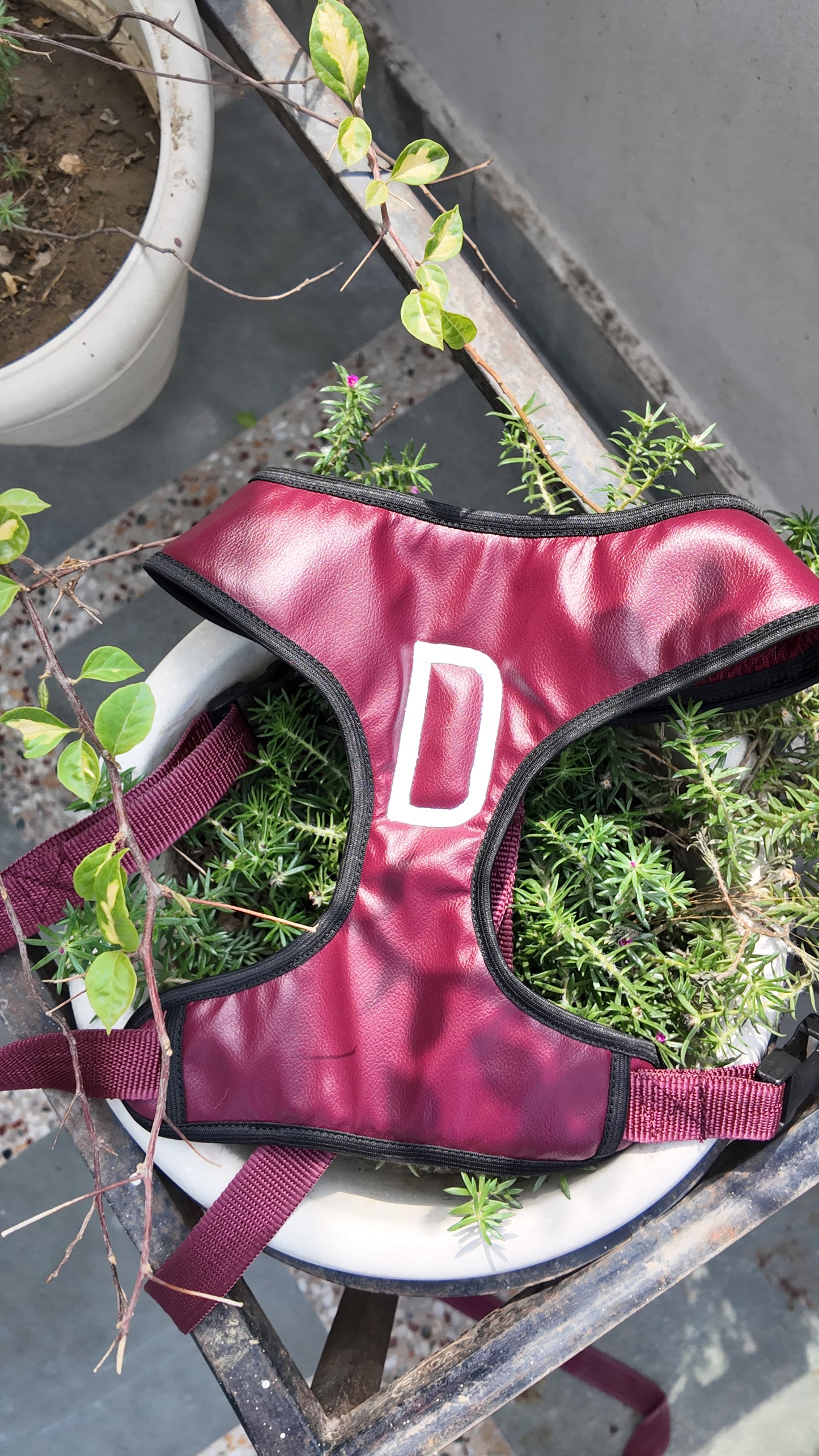 Red Leather Harness with Intial