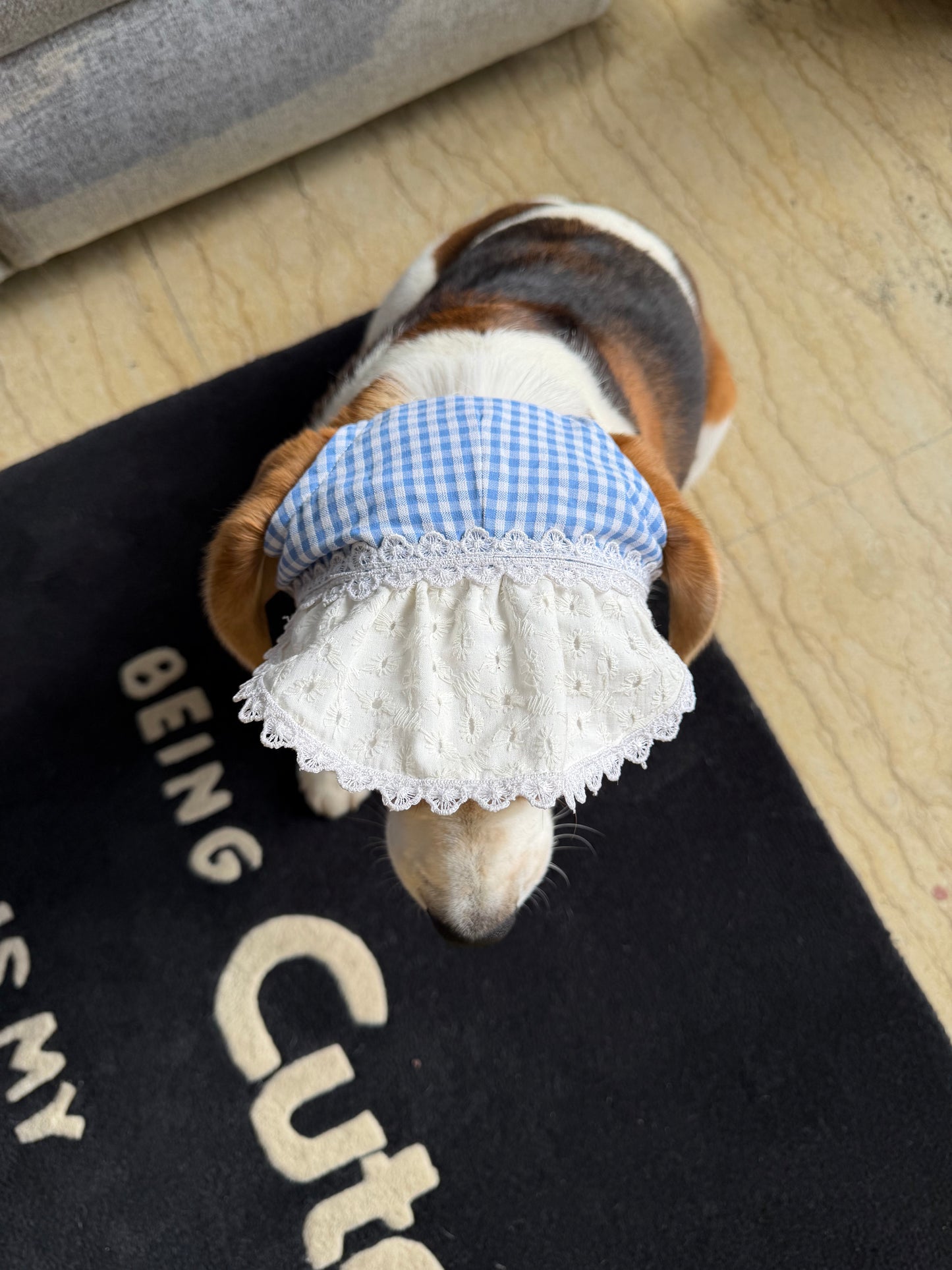 Blue Checkered Cap
