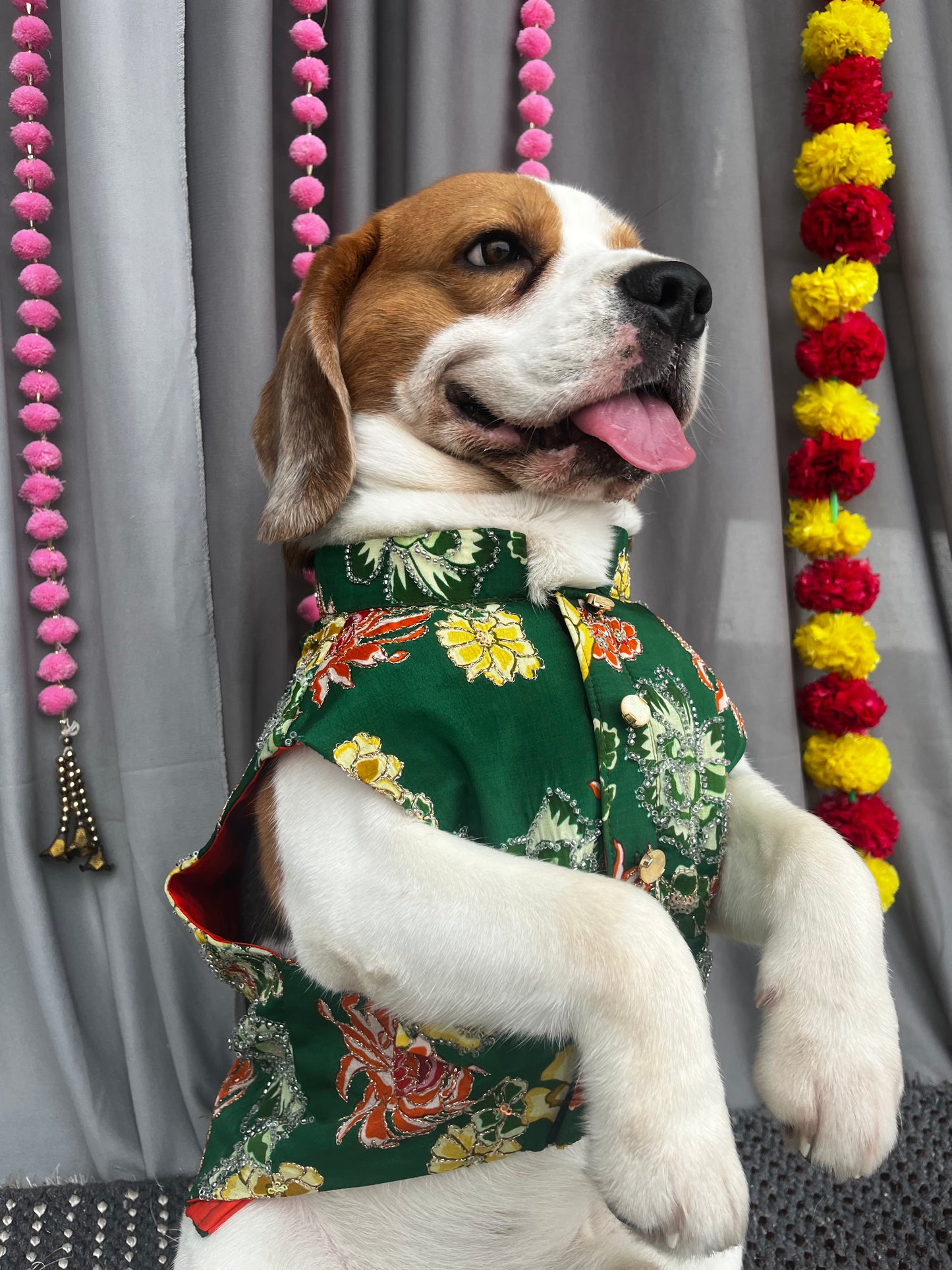 Green Sleeveless Sherwani