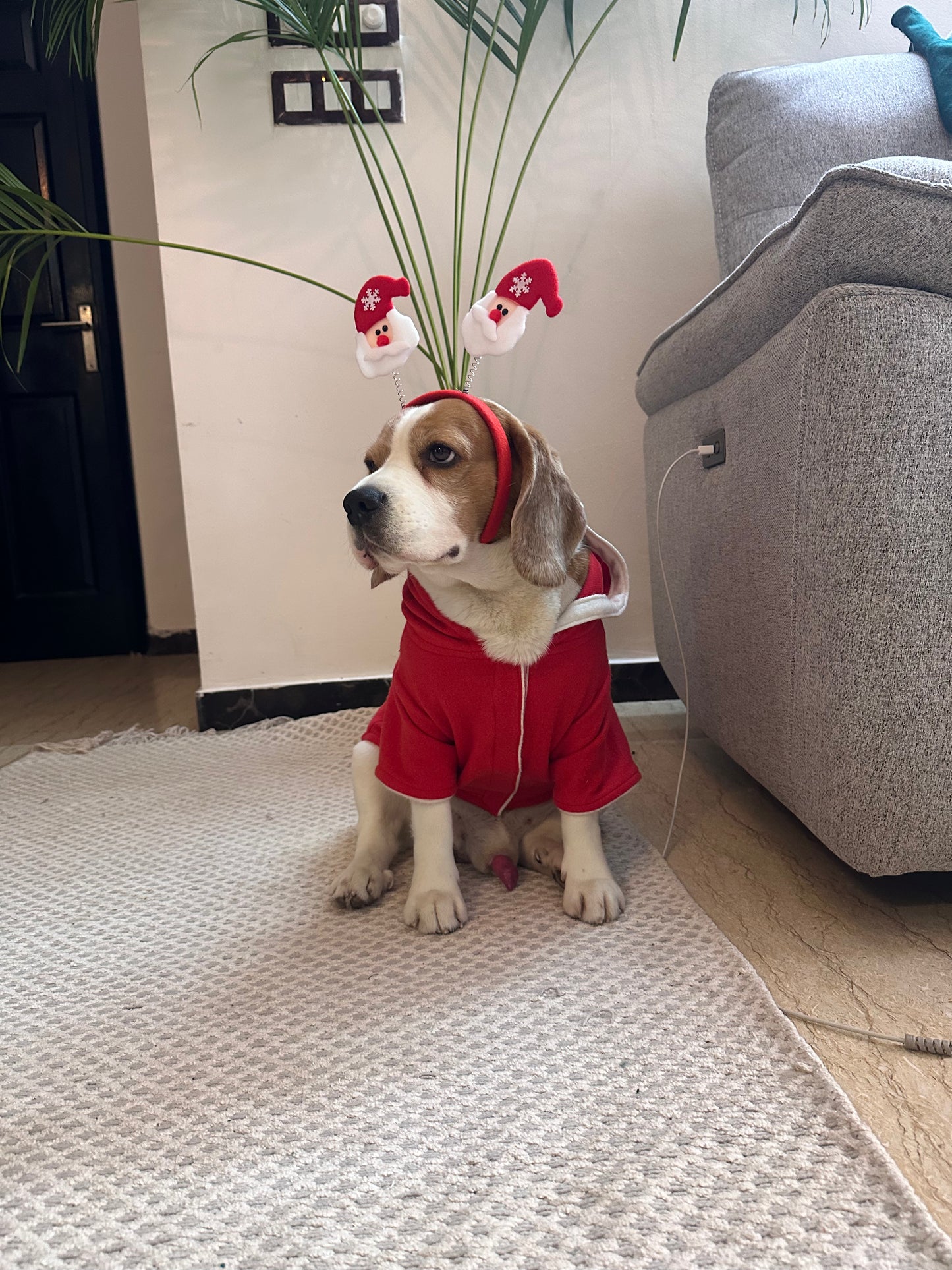 Red Dinosaur Hoodie Jacket