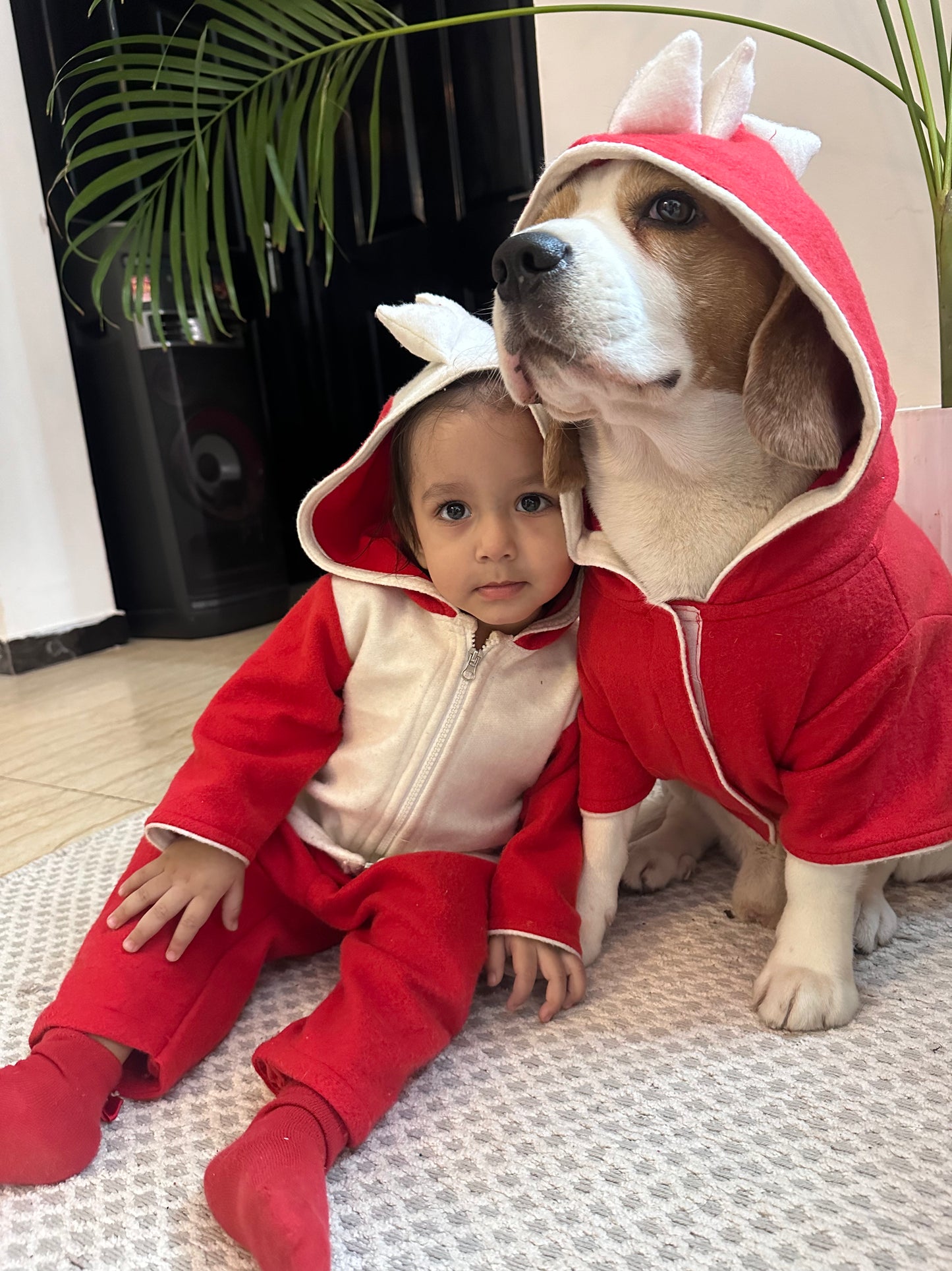 Red Dinosaur Hoodie Co-ord set