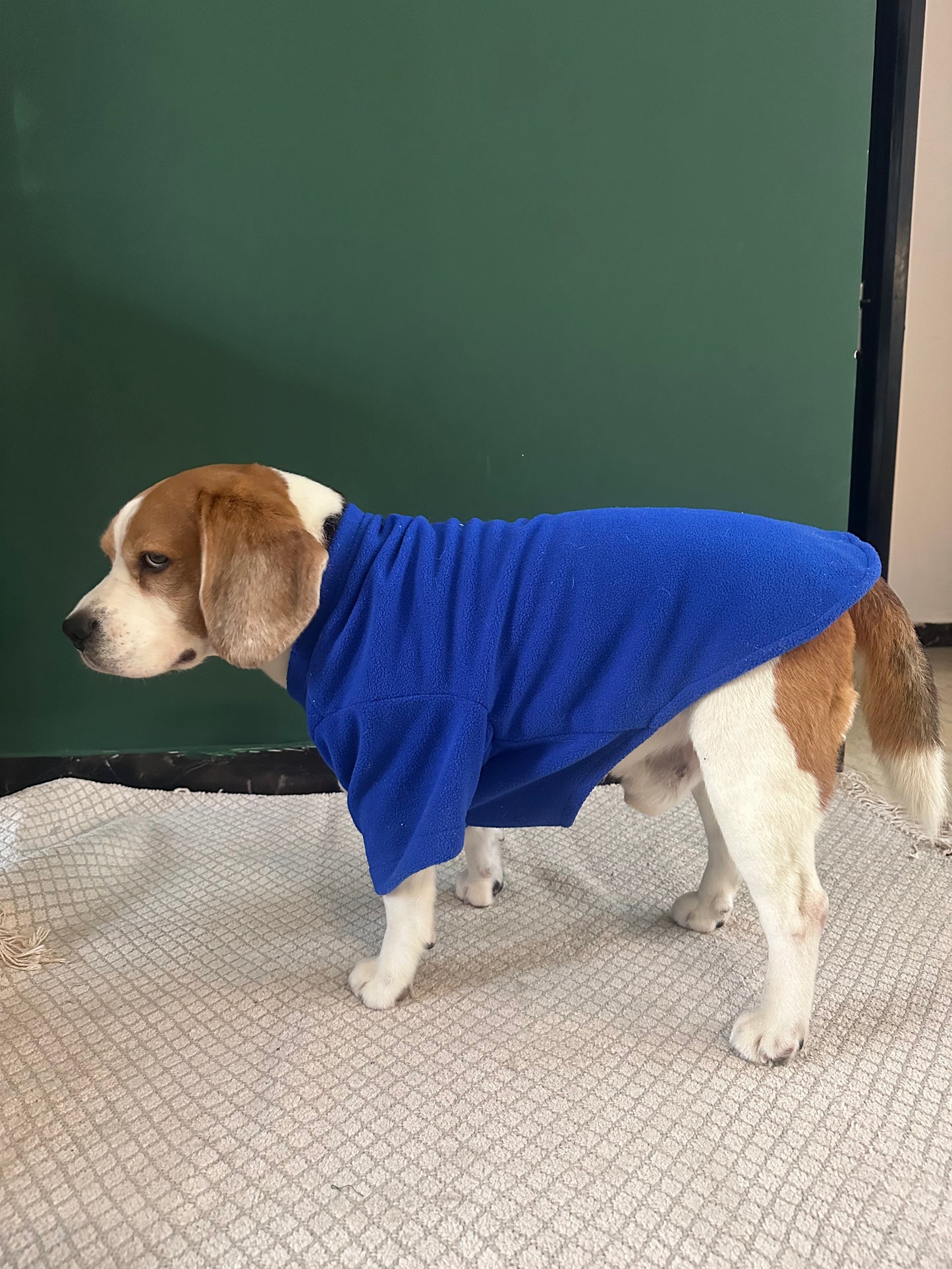 Blue Doodle Sweatshirt