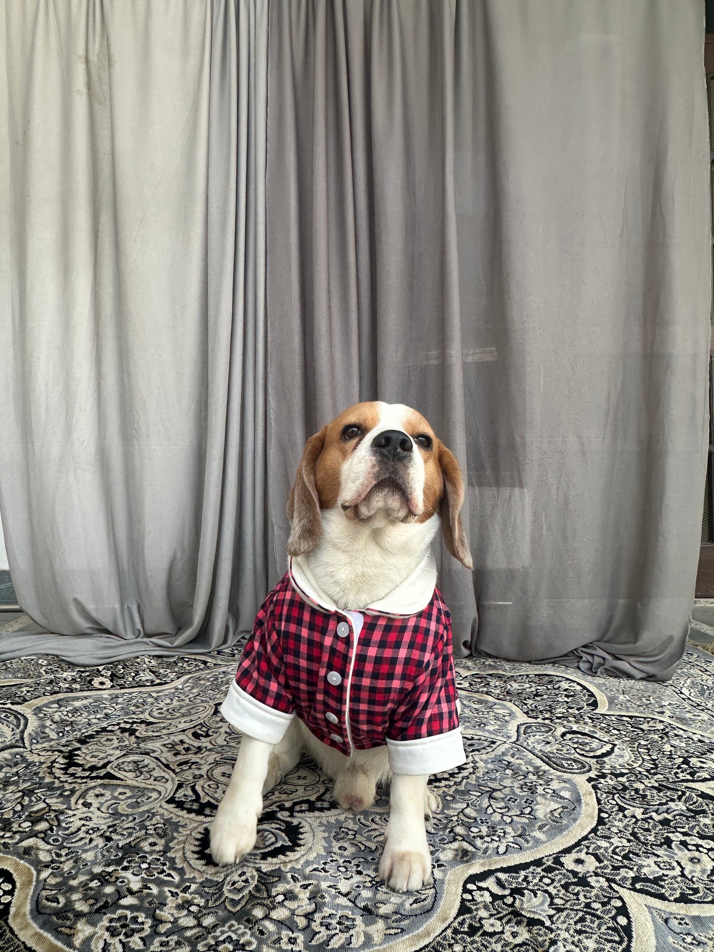 Red Plaid Twinning set