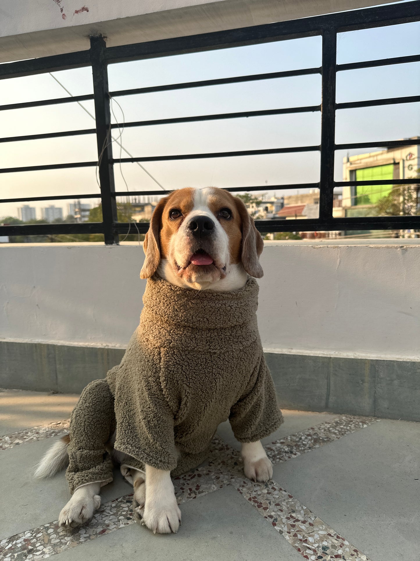 Olive Green Skeeve Romper