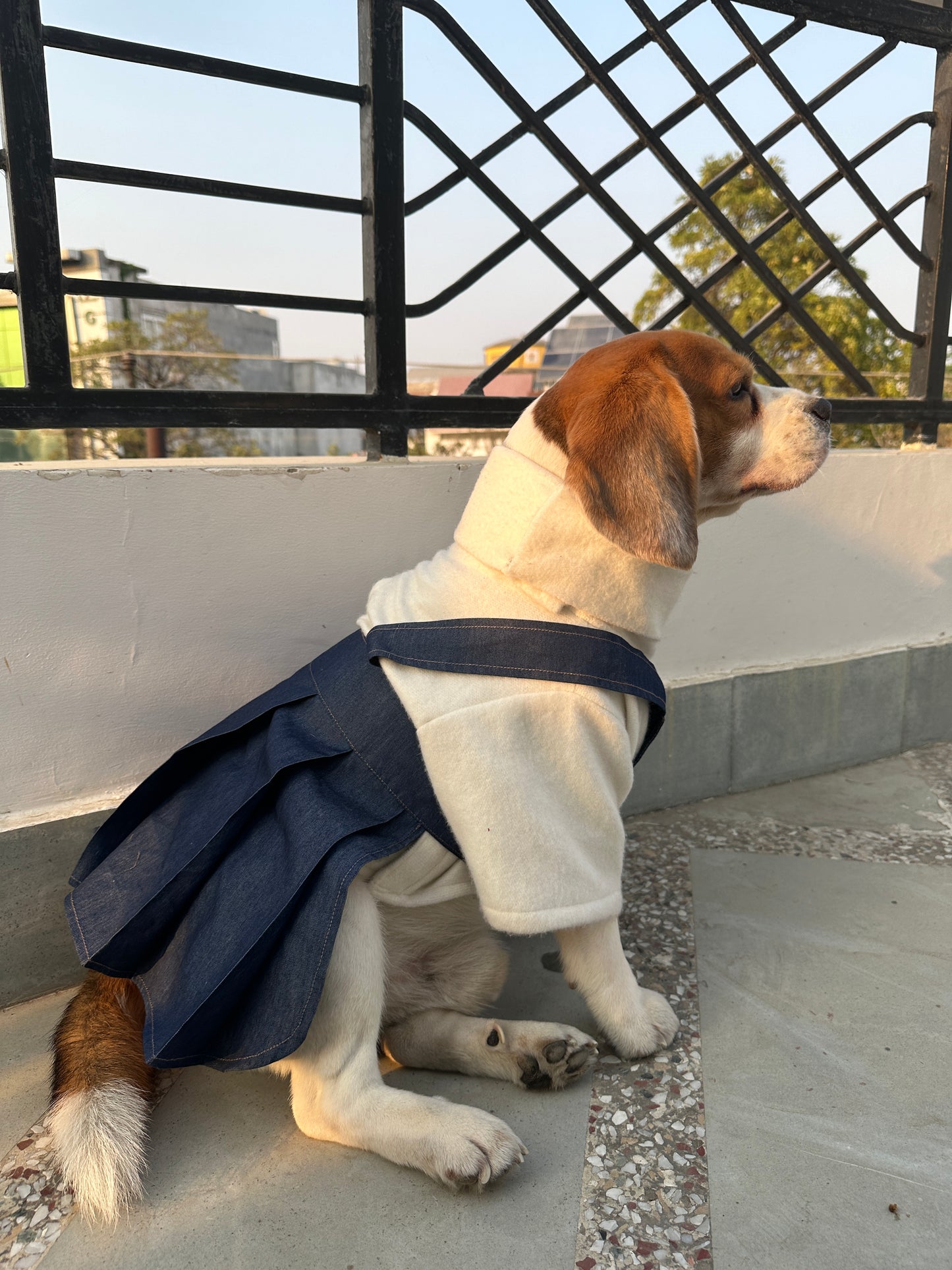 Denim Dungaree Skeeve set