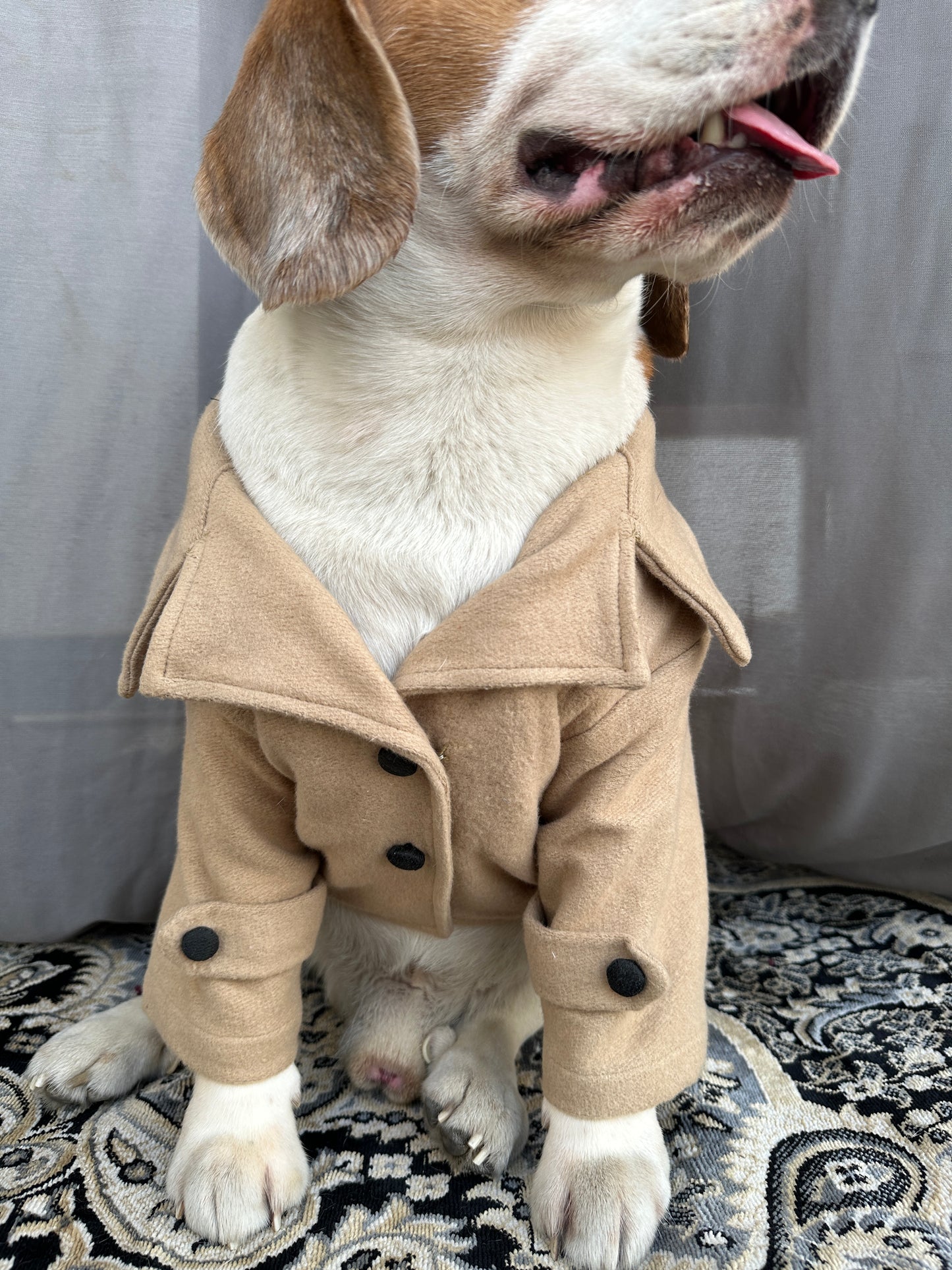 Beige Coat