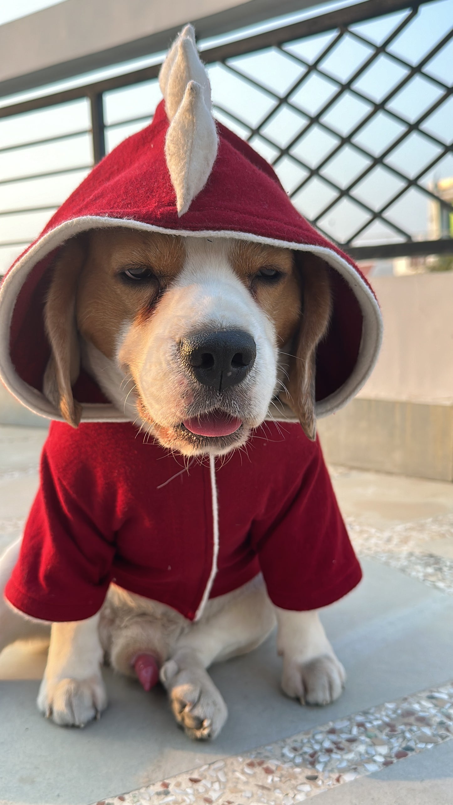 Red Dinosaur Twinning set