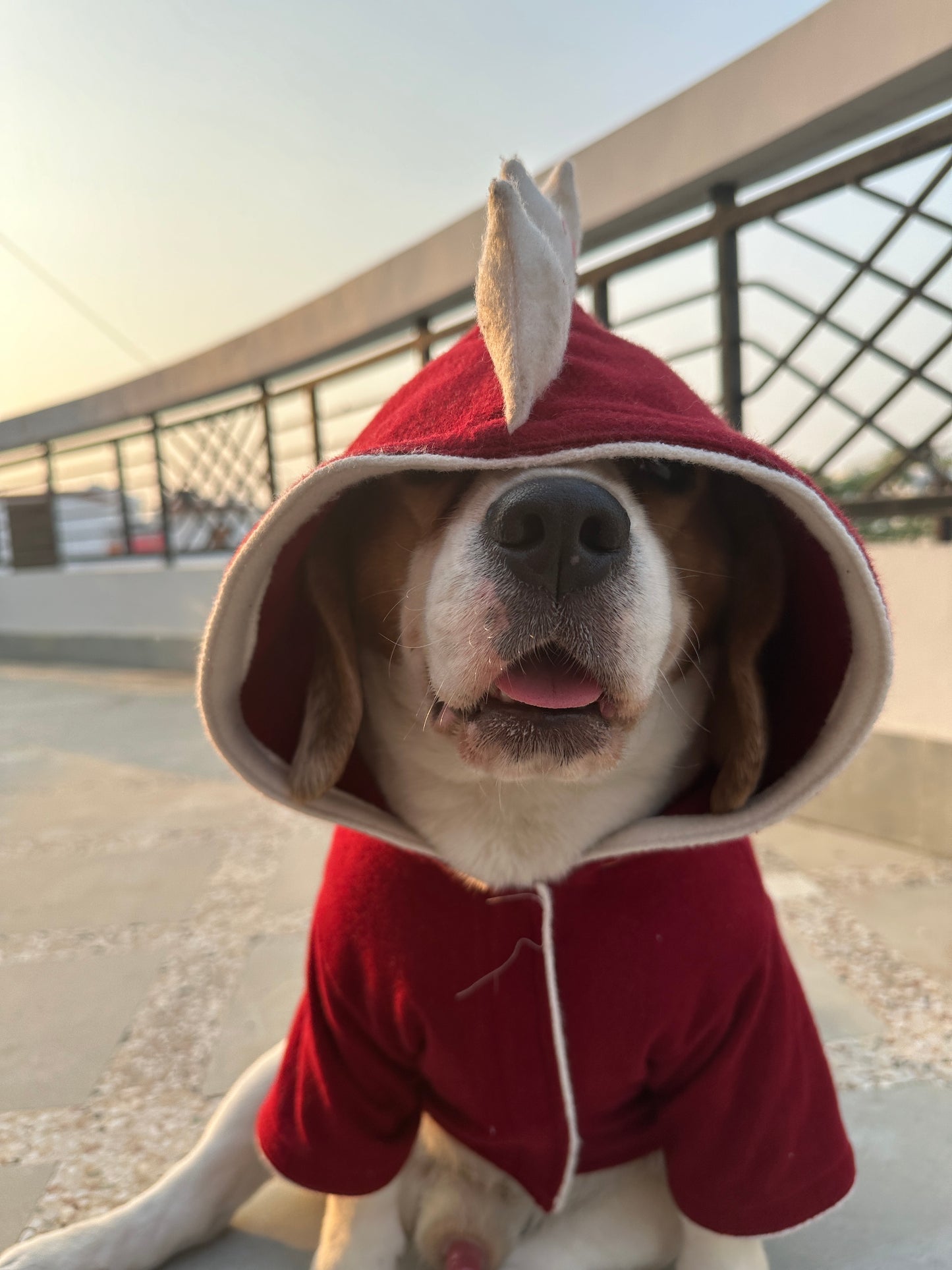 Red Dinosaur Hoodie Jacket