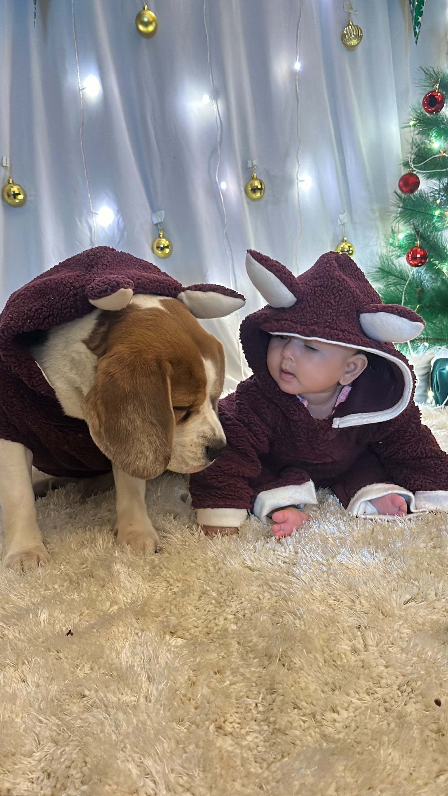 Red Teddy Hoodie Jacket