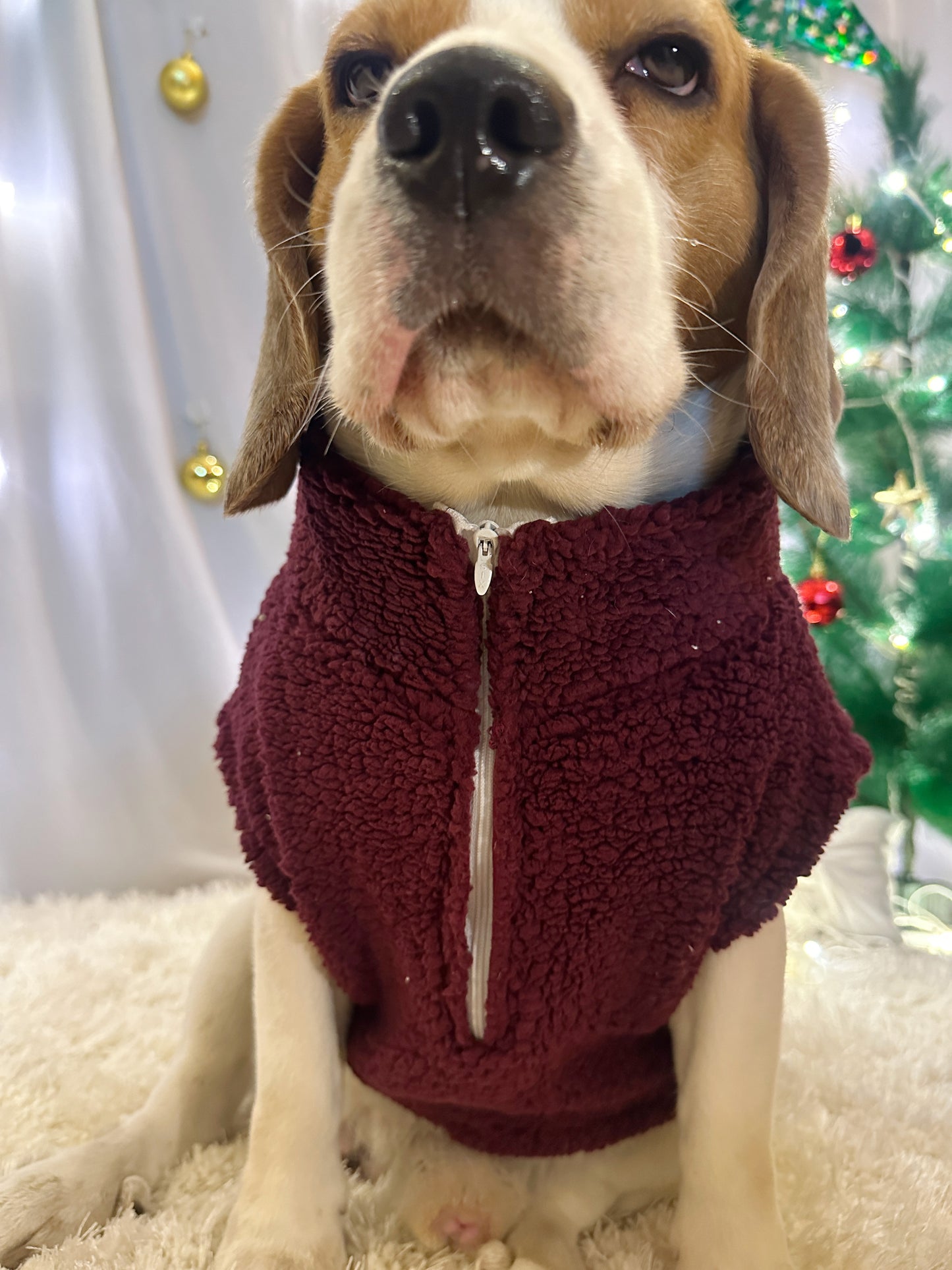 Red High-neck Jacket