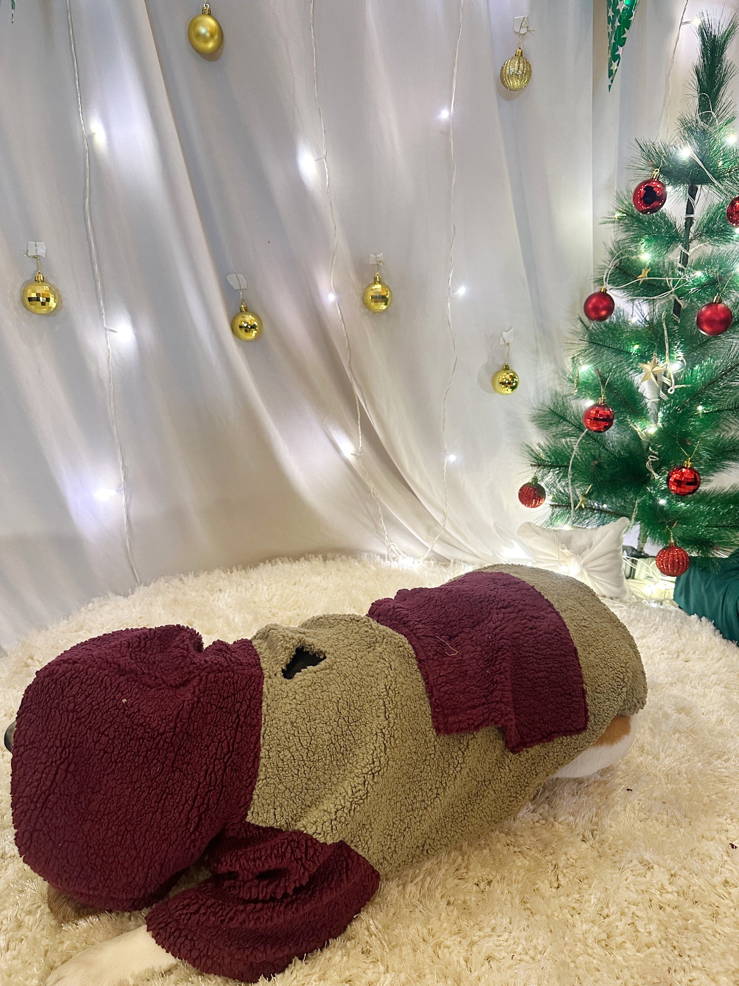 Red Colour blocked Hoodie Jacket