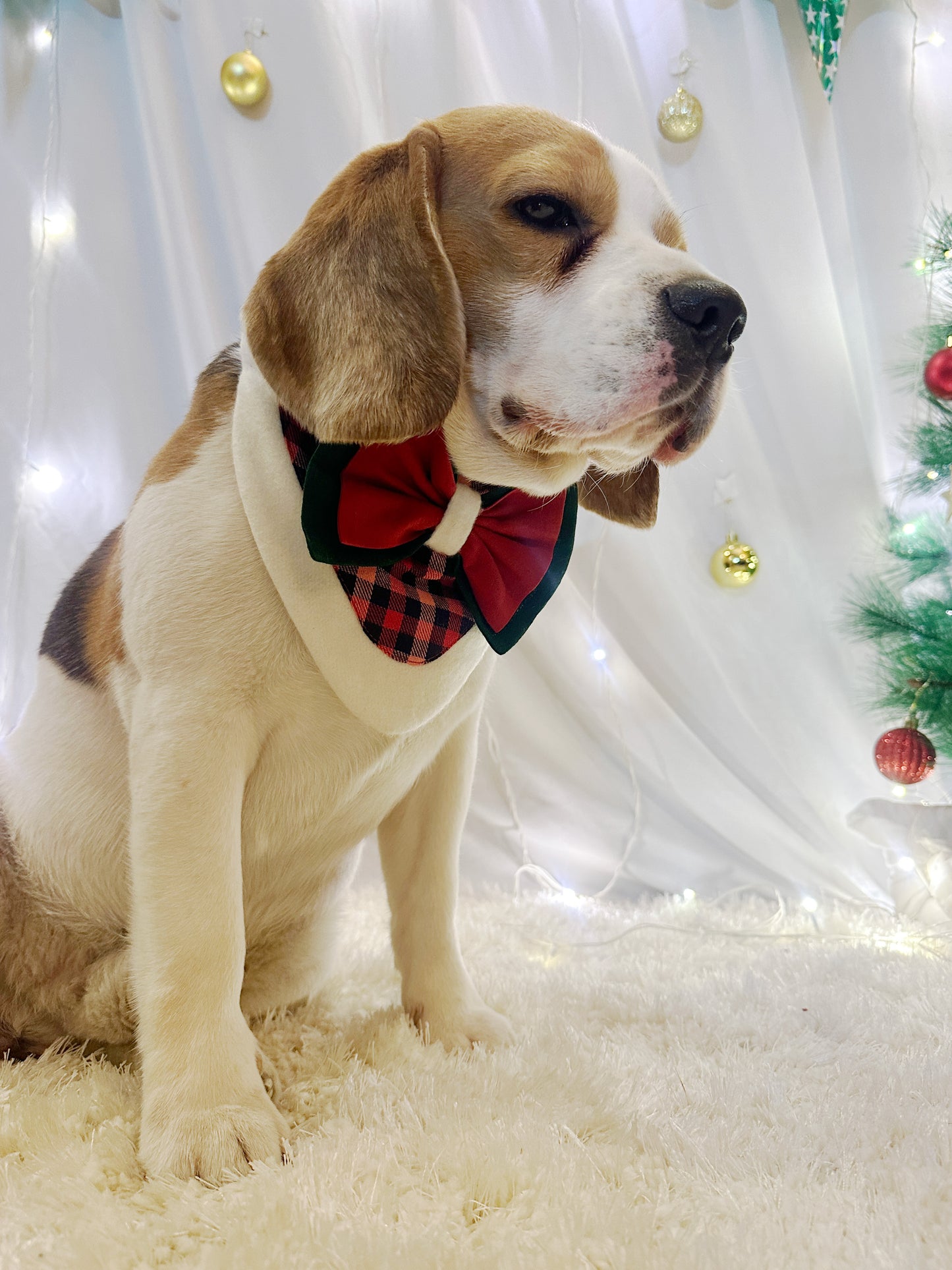 Red Green Christmas Bandana