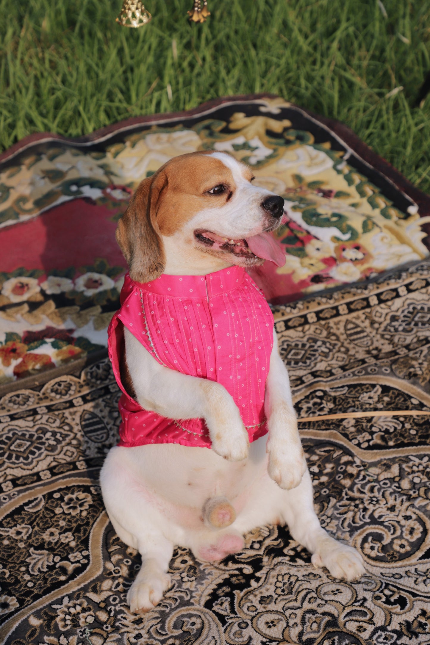 Pink Bandhani Pintuck Kurta