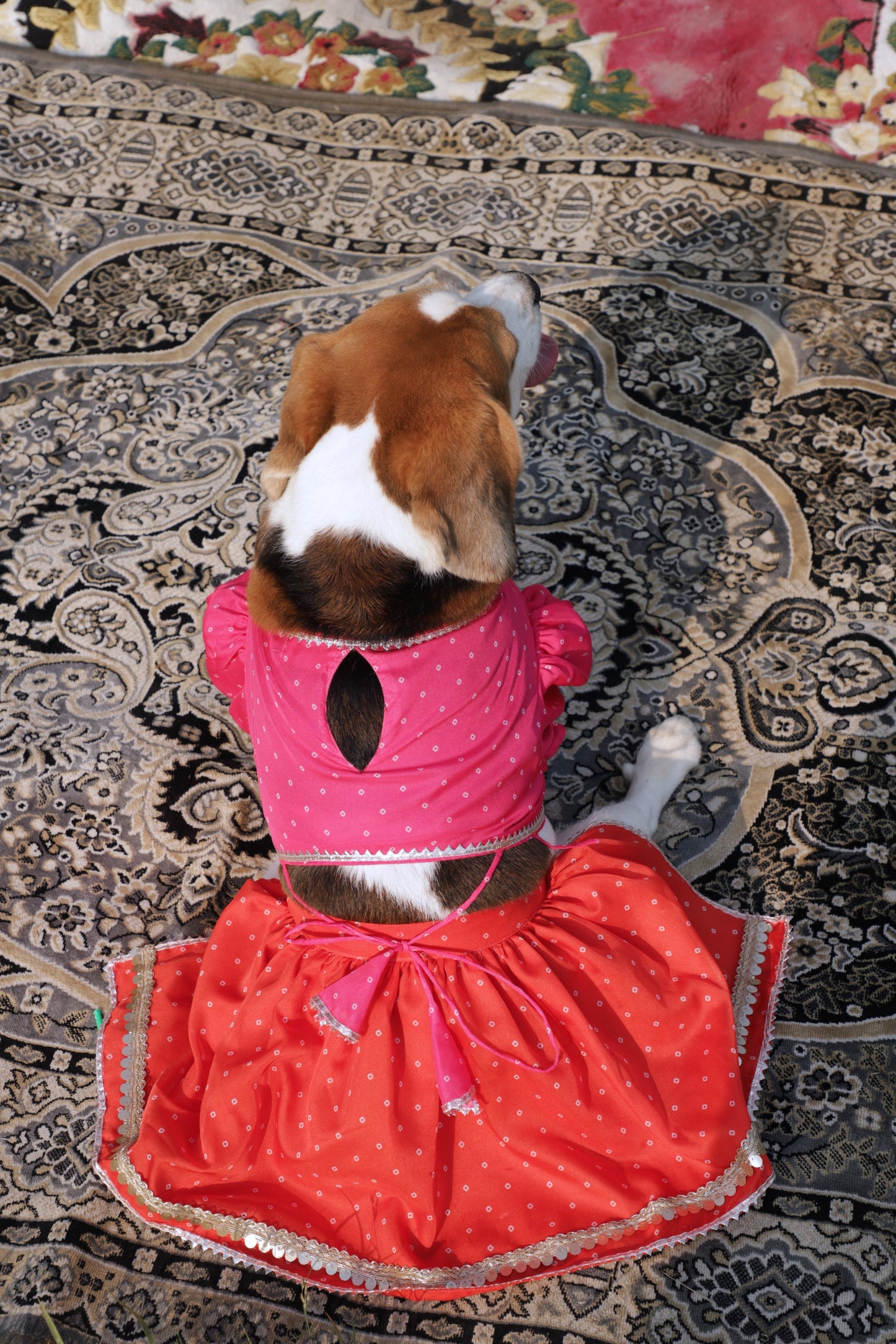Pink-Orange Lehenga Set