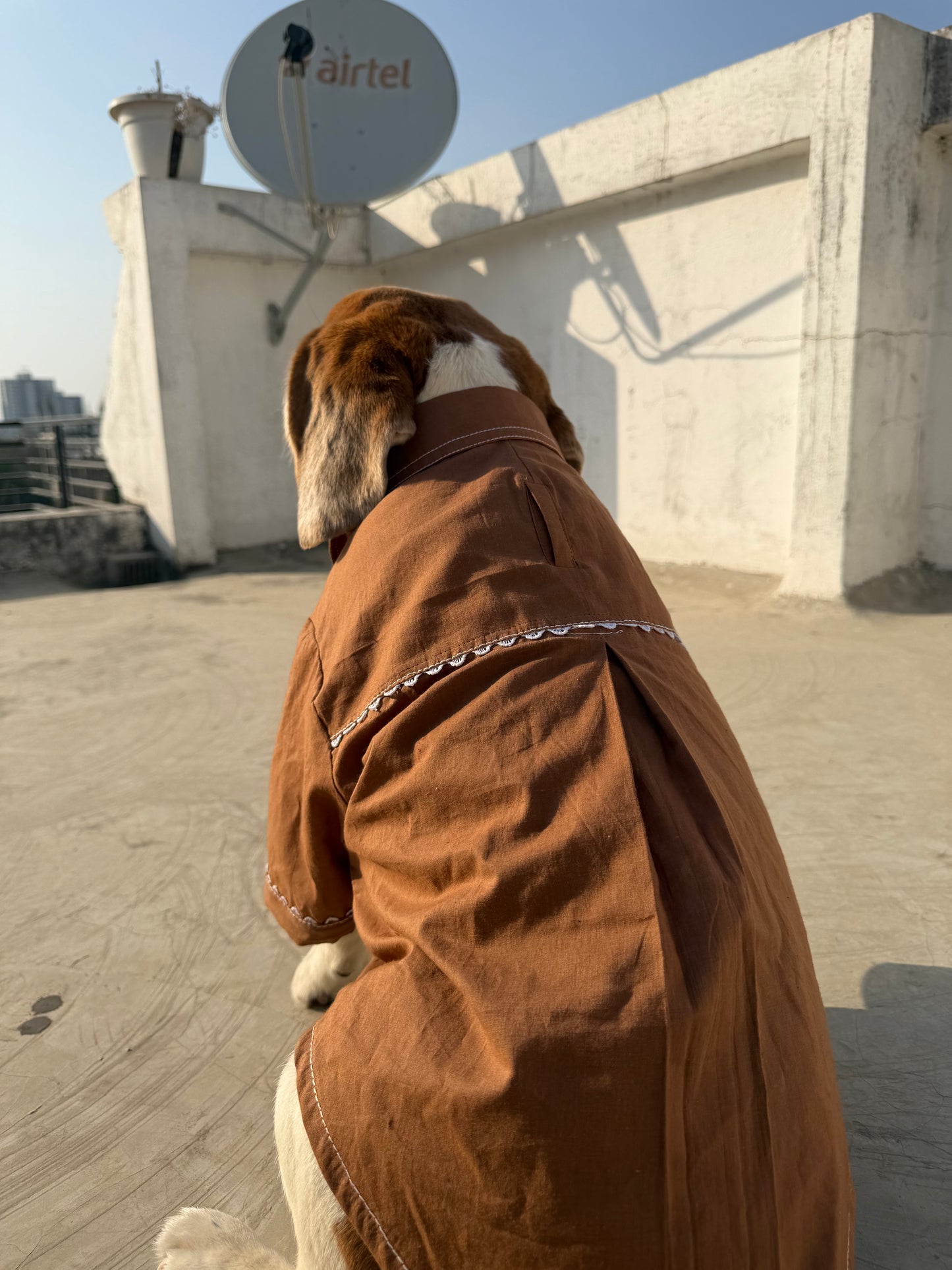 Brown Kurta Co-ord Twinning Set