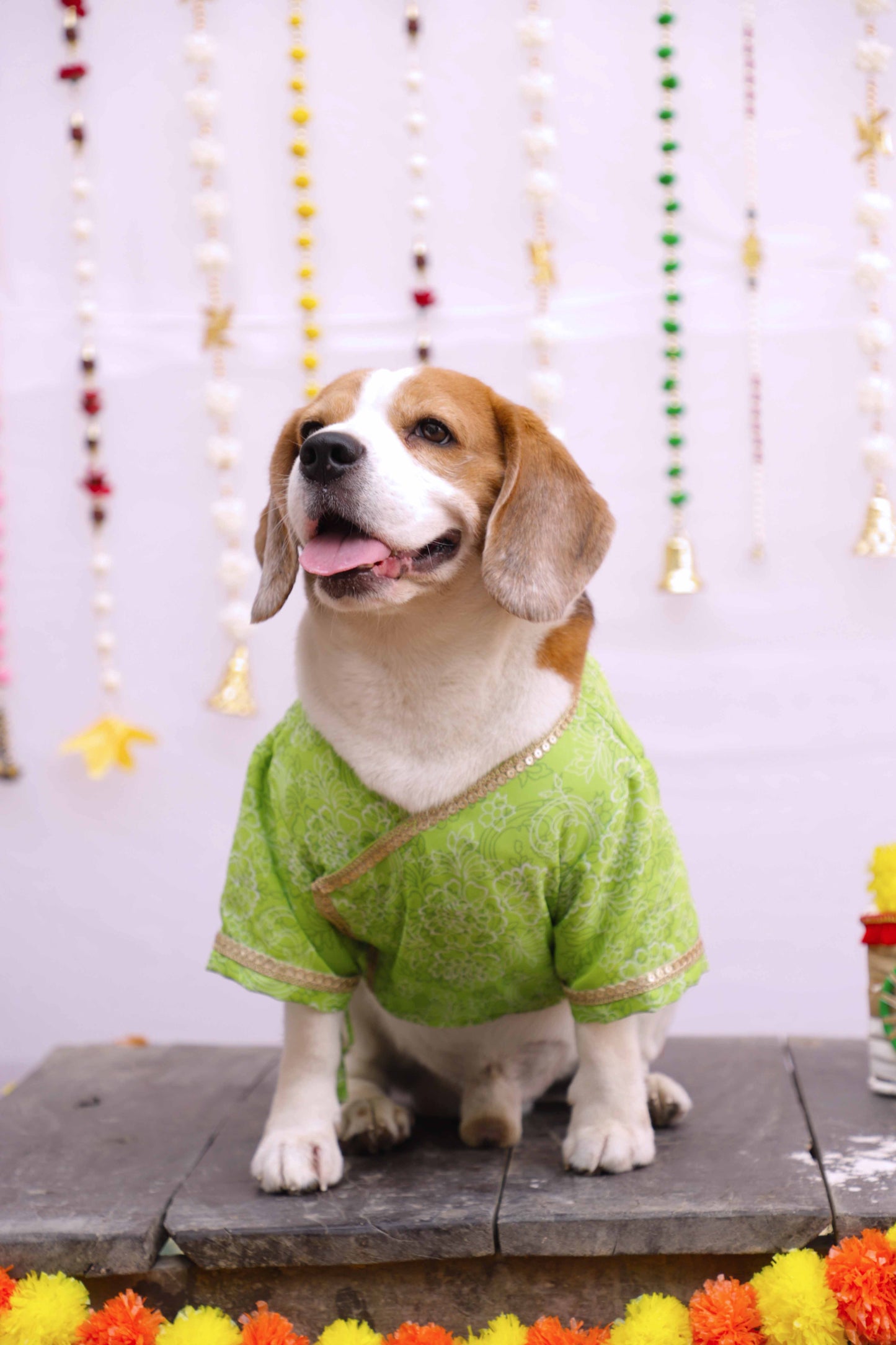 Green Floral Angrakha Twinning Set