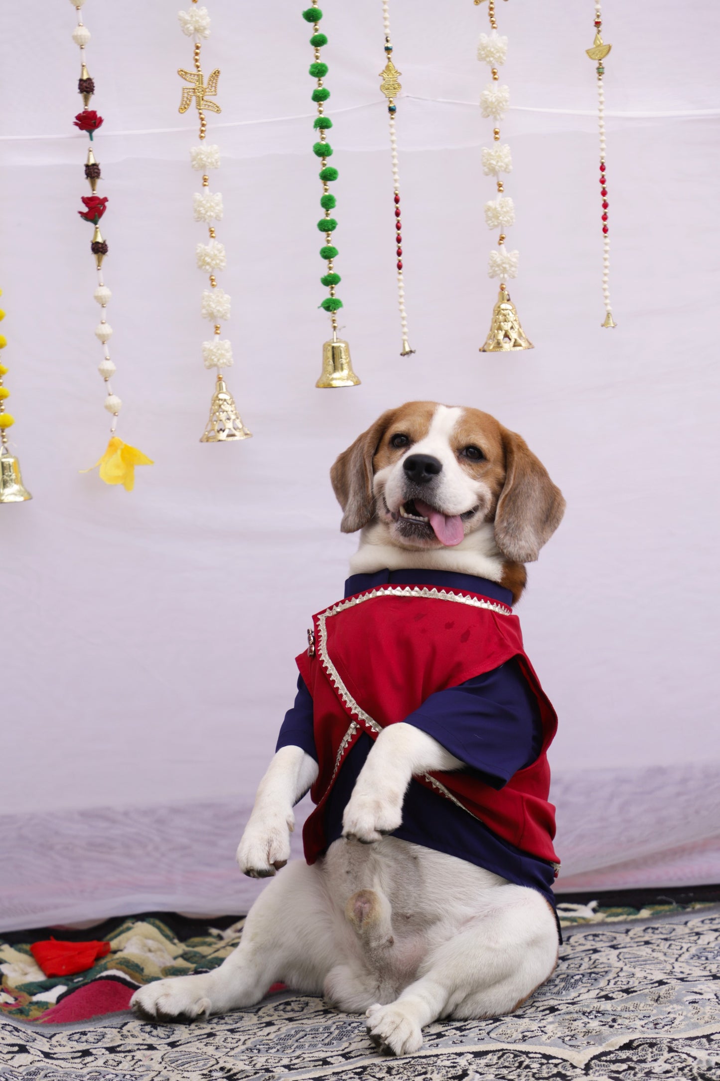 Navy Blue Kurta Twinning set