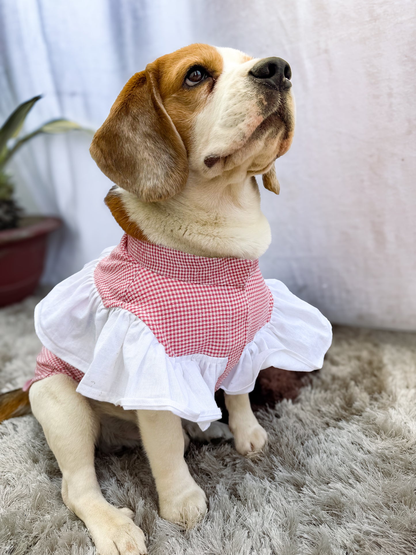 Red Gingham Twinning set