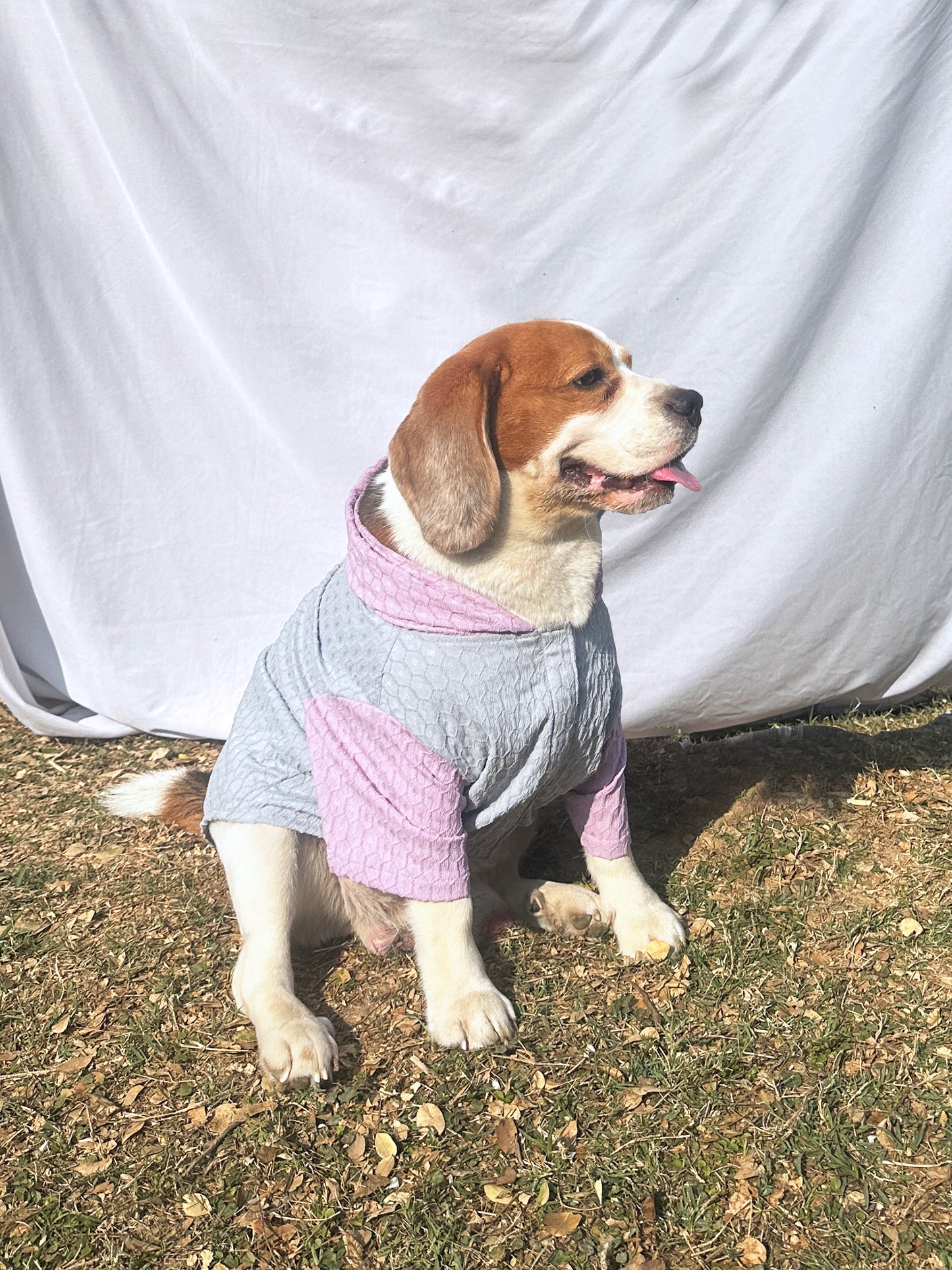 Grey Colour-blocked Hoodie Shirt