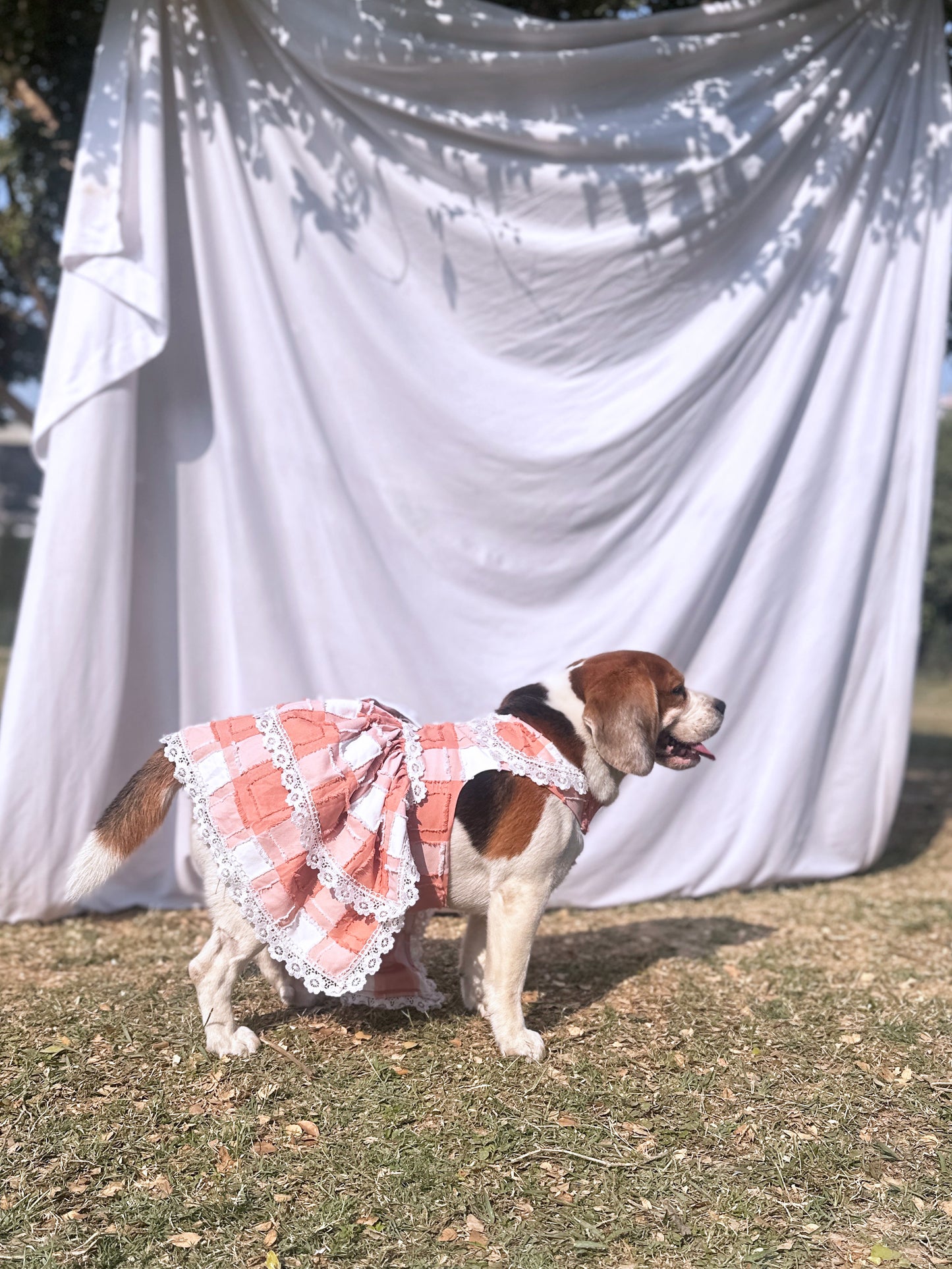 Peach Checked Frock