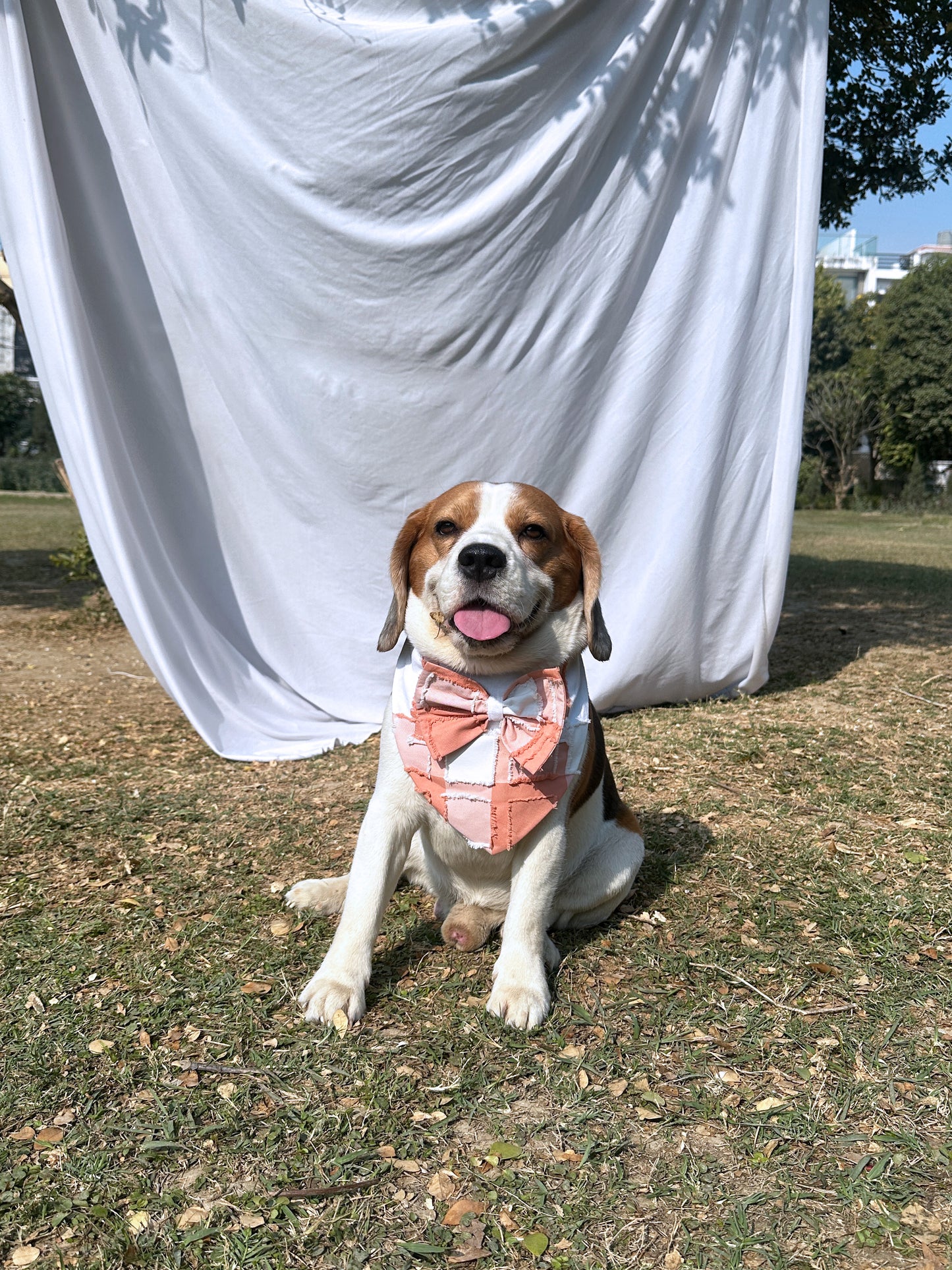 Peach Checked Twinning Set