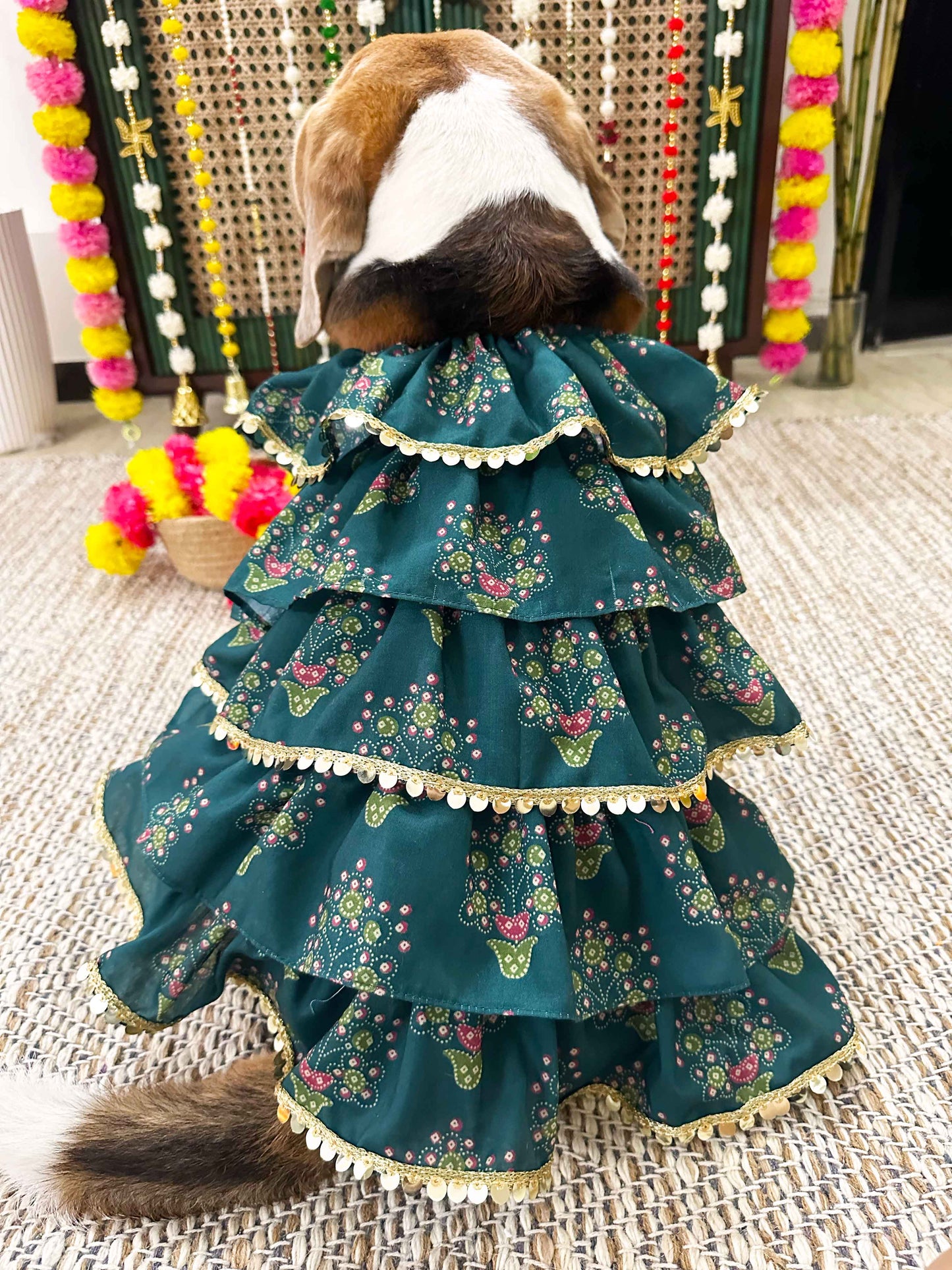 Green Floral Kurta dress Twinning set