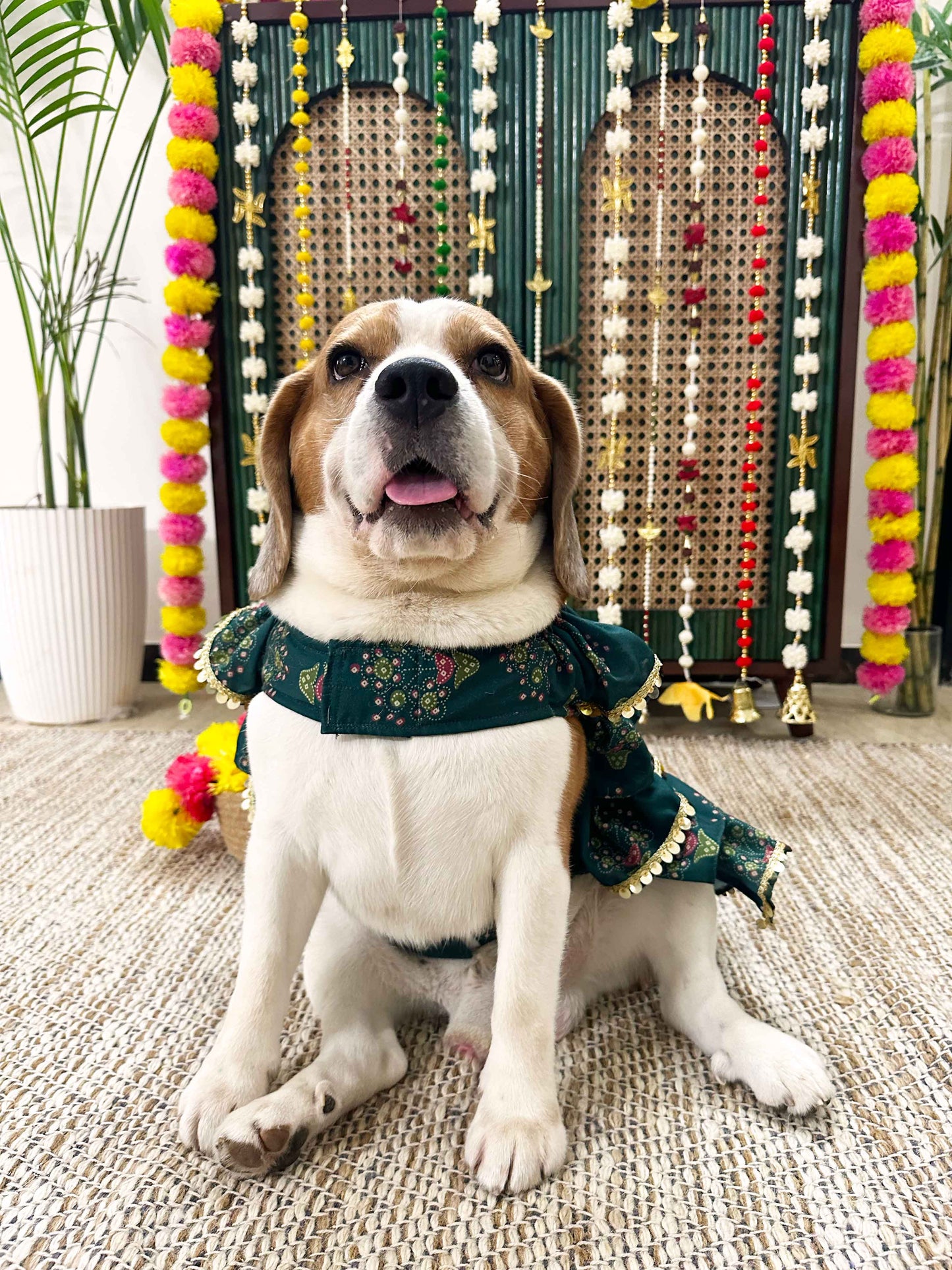 Green Floral Ruffle Dress