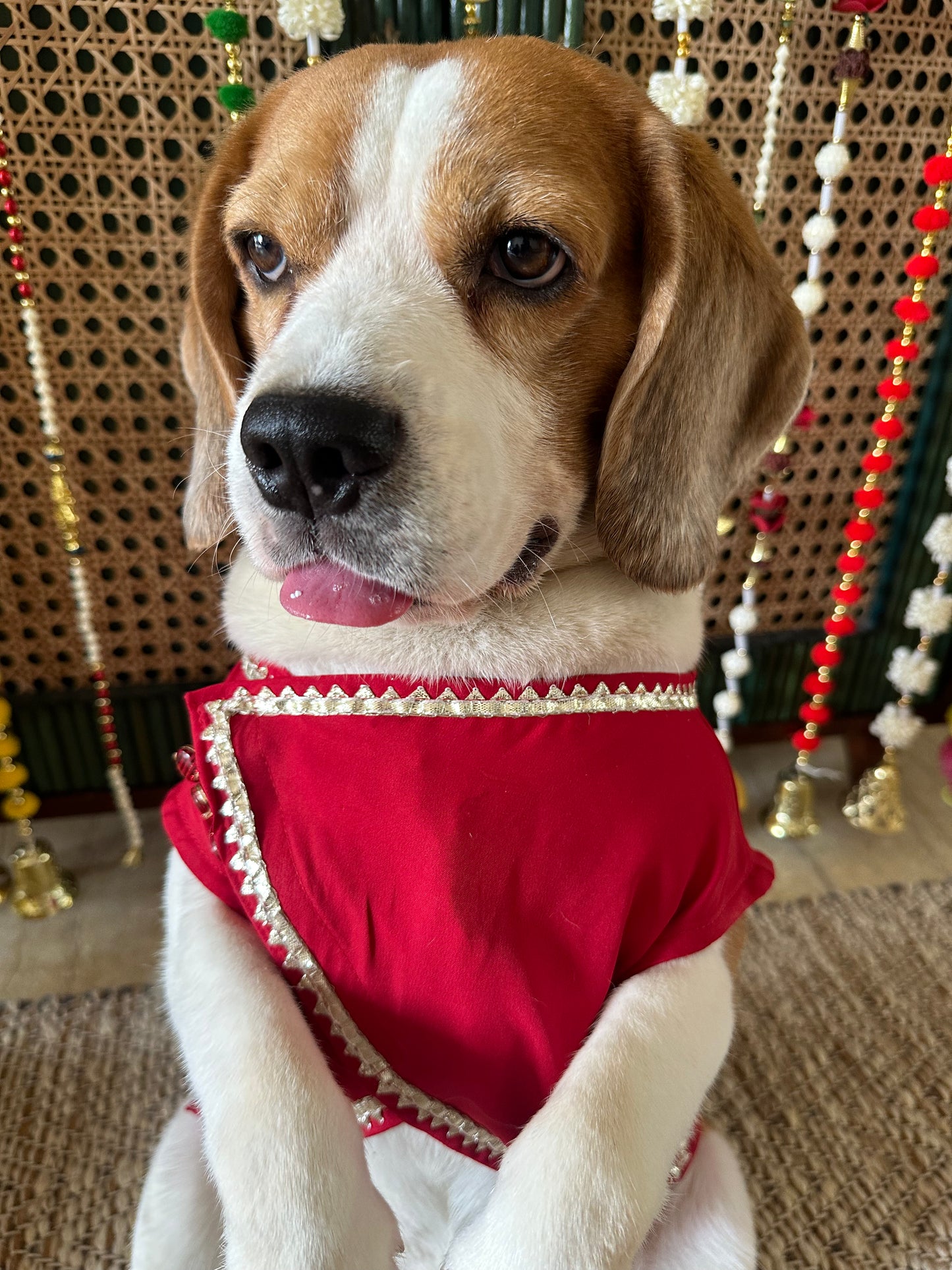 Red Nehru Jacket set