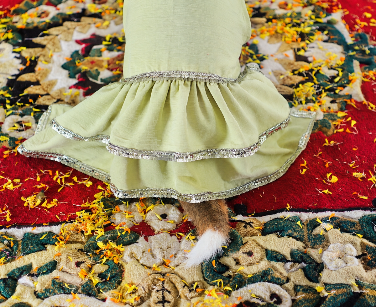 Lime Green Frock