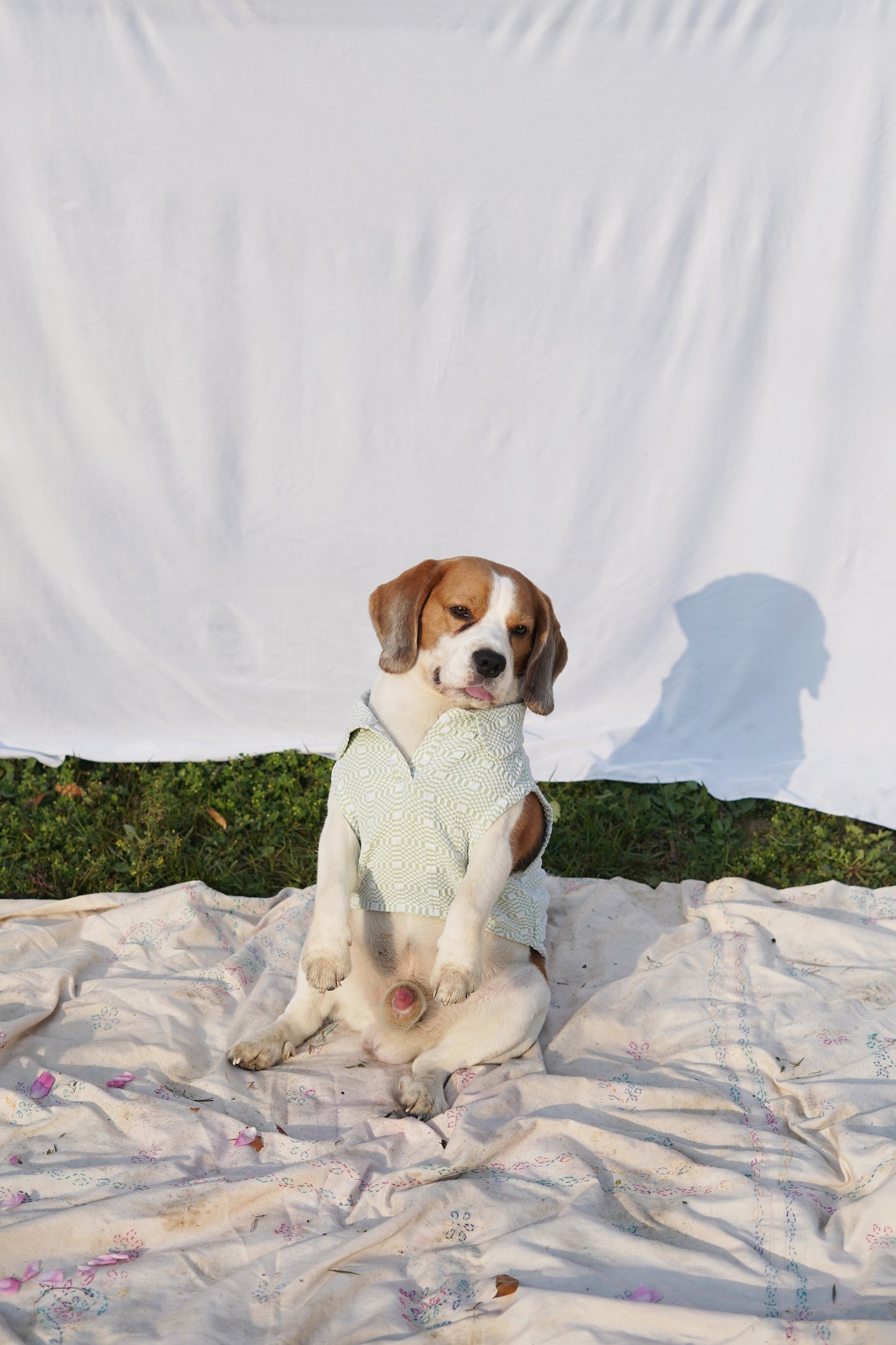 Green T-Shirt Twinning Set