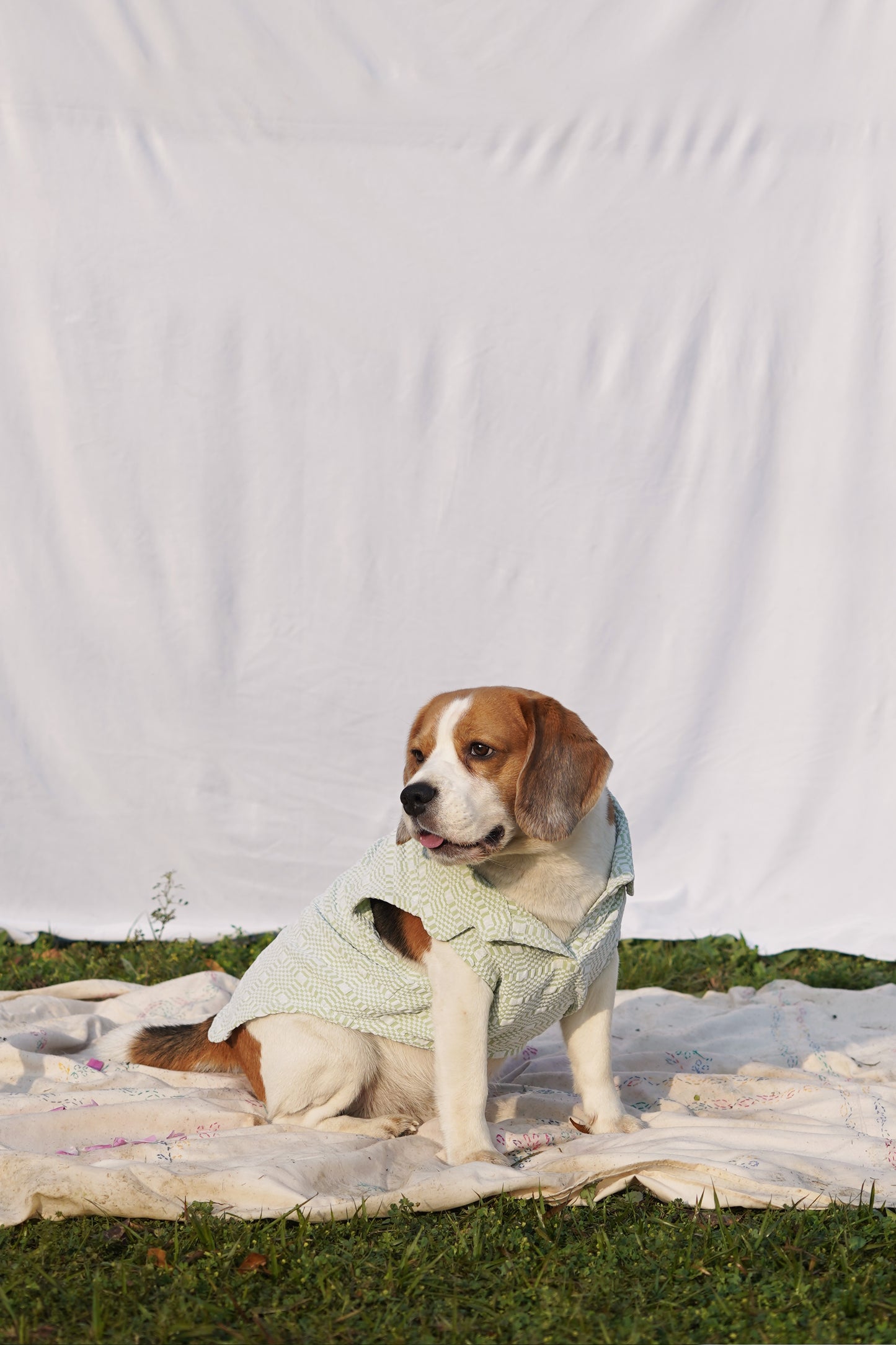 Green Sleeveless T-Shirt