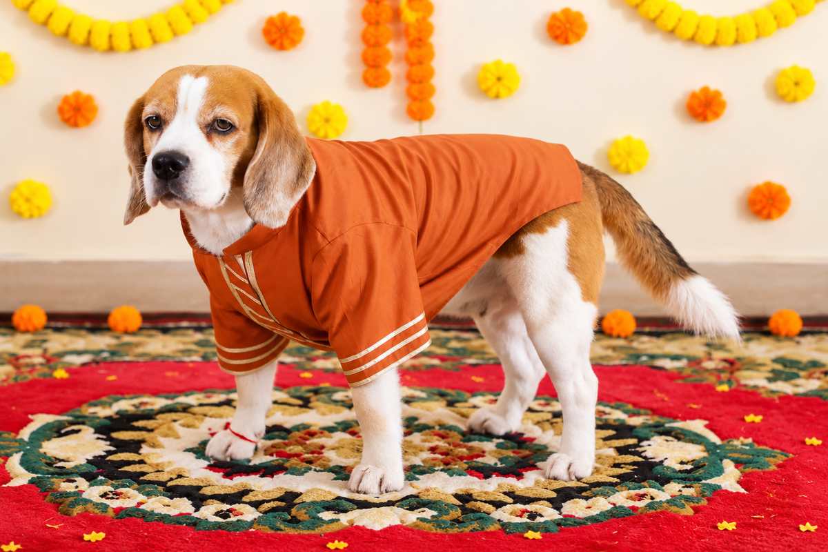 Brown Gota Kurta