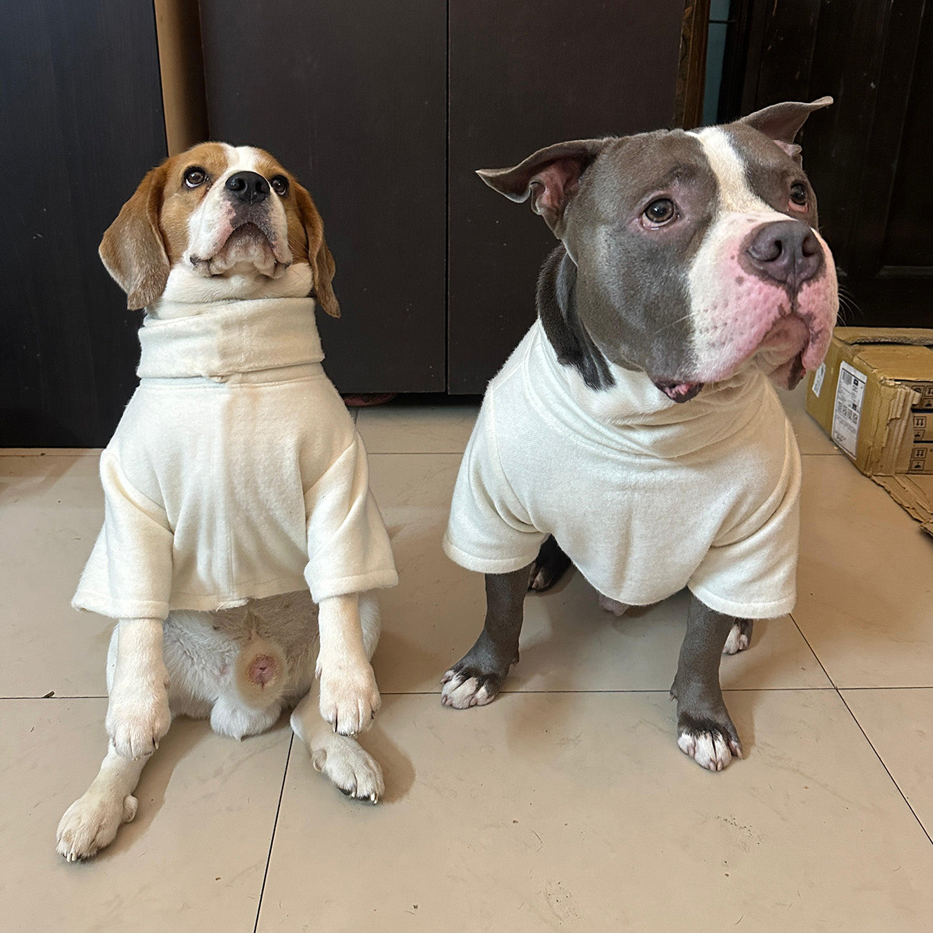 White High neck Skeeve