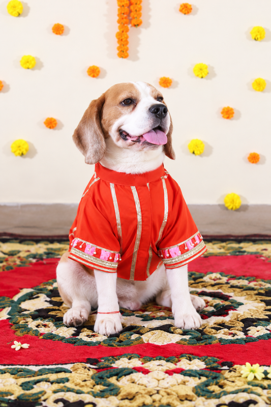 Orange Stripped Kurta