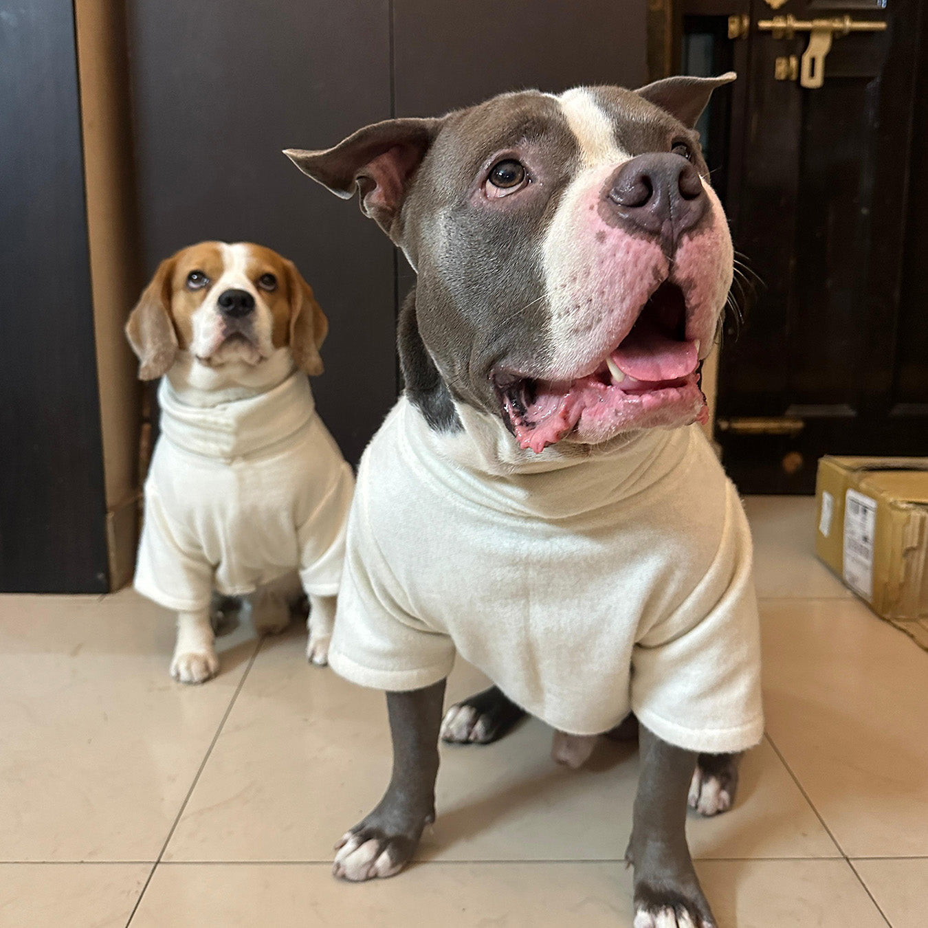 White High neck Skeeve