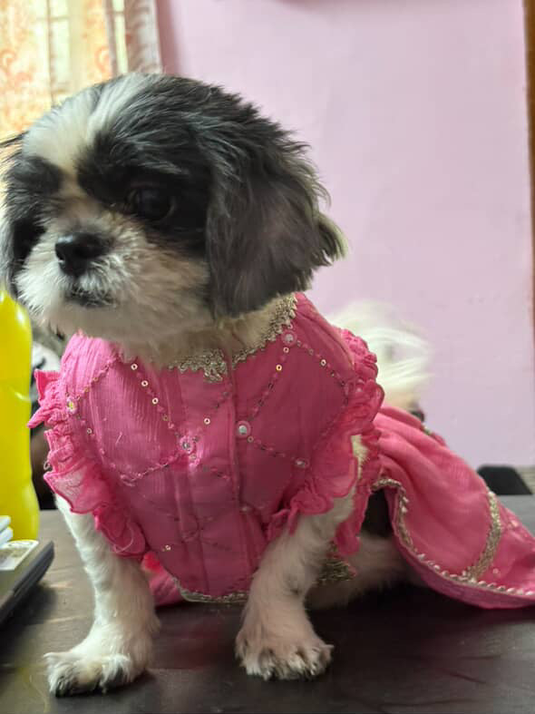 Pink Lehenga Set