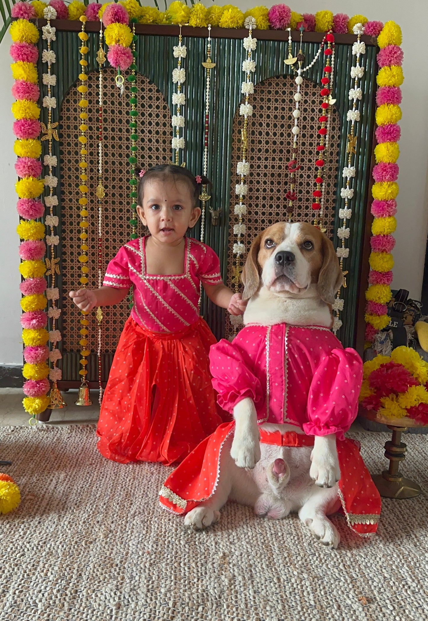 Pink Lehenga choli Twinning set