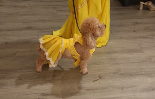 Yellow Lehenga Set