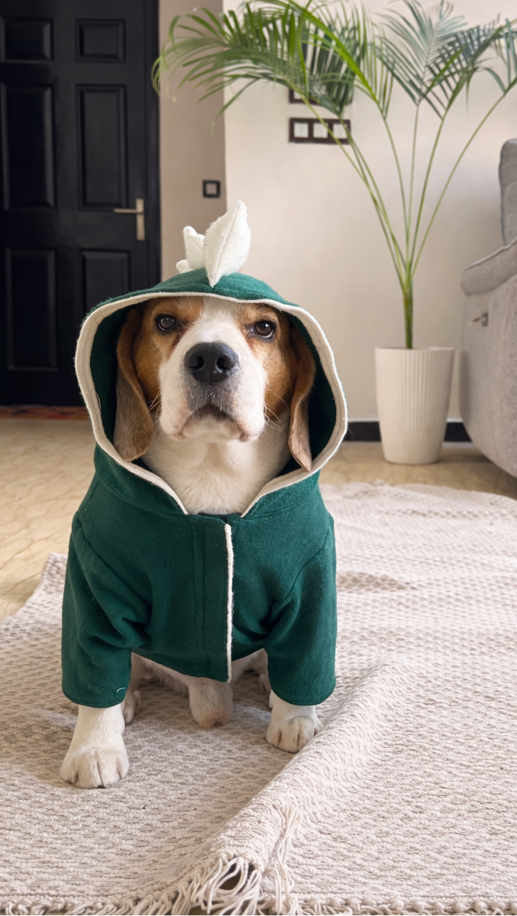 Green Dinosaur Hoodie Jacket