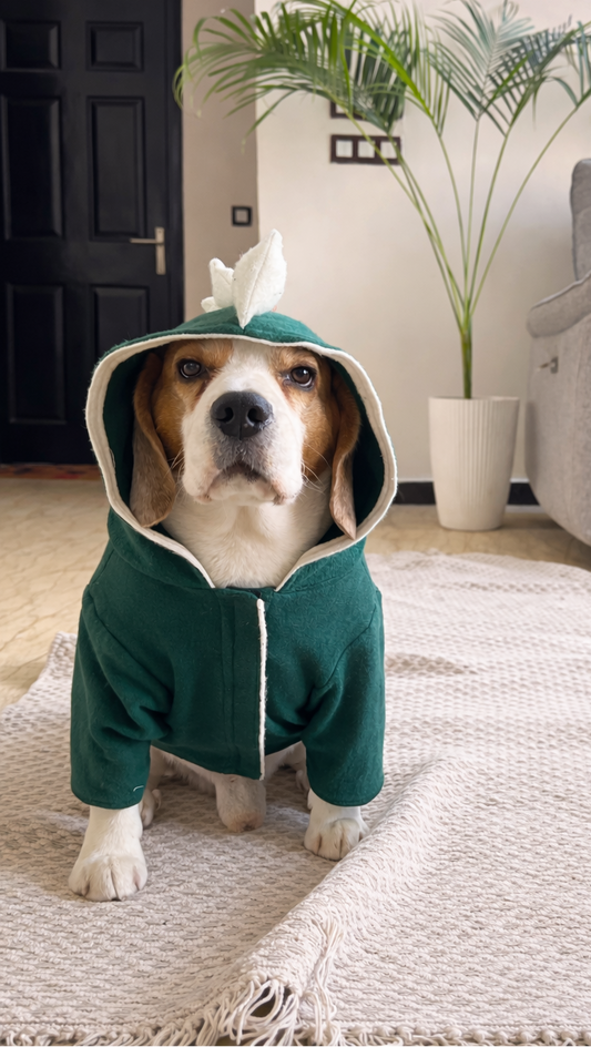 Green Dinosaur Hoodie Jacket