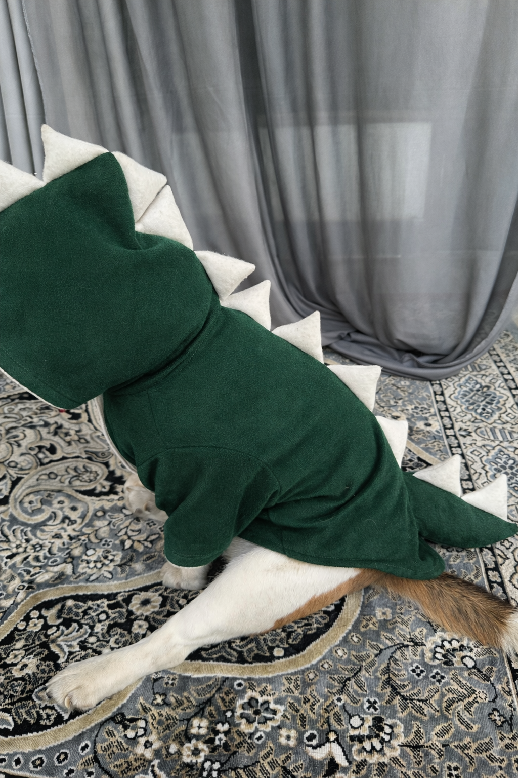 Green Dinosaur Hoodie Jacket