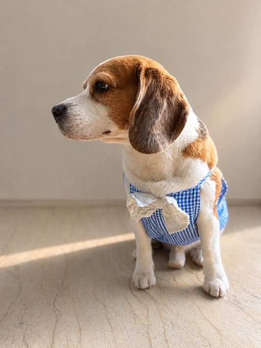 Blue Gingham Slip