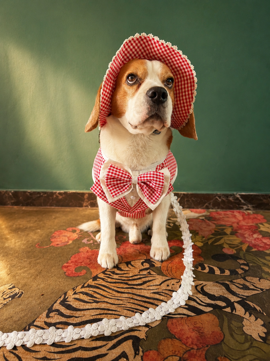 Red Gingham Hat Harness