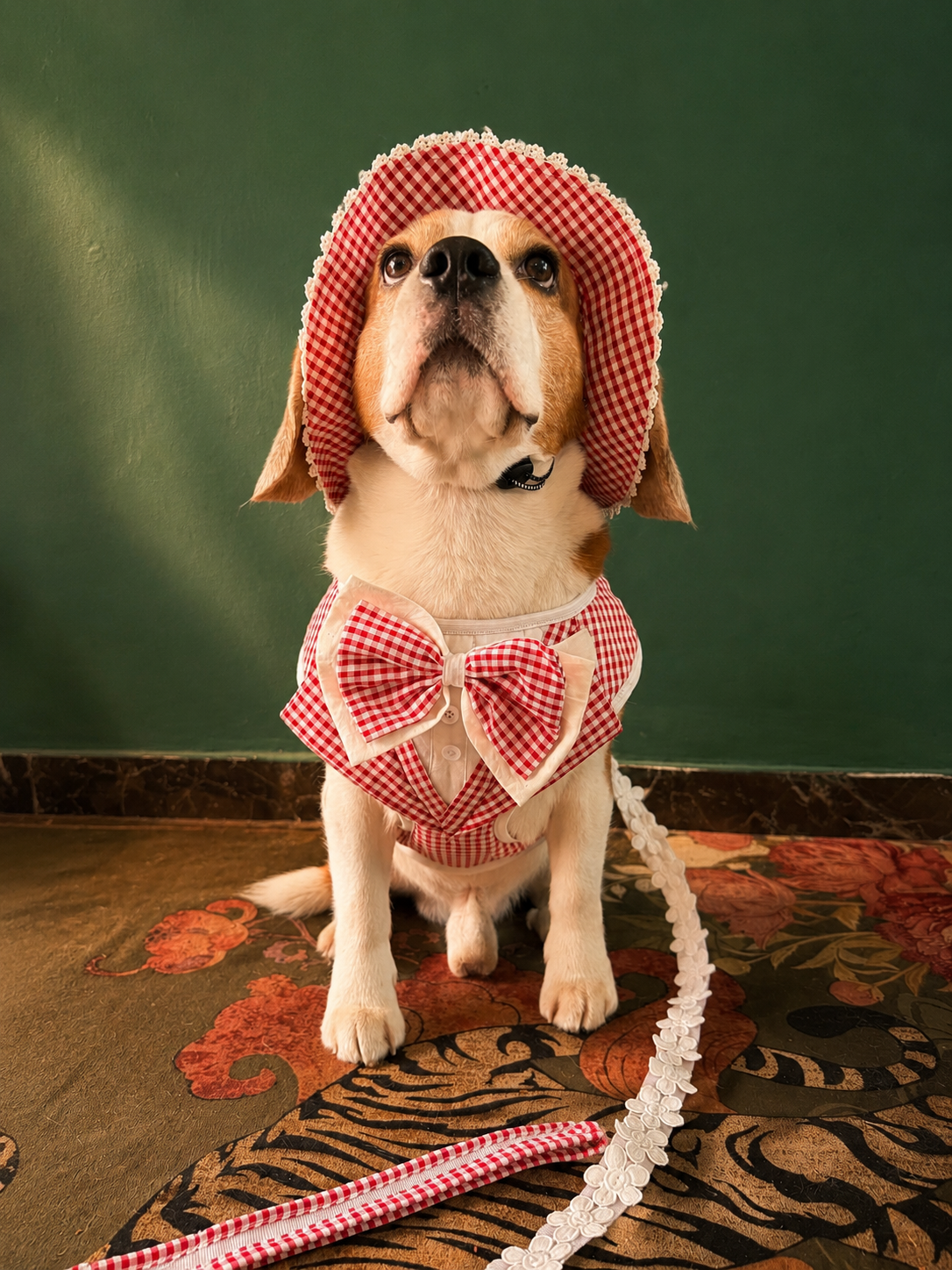Red Gingham Hat Harness