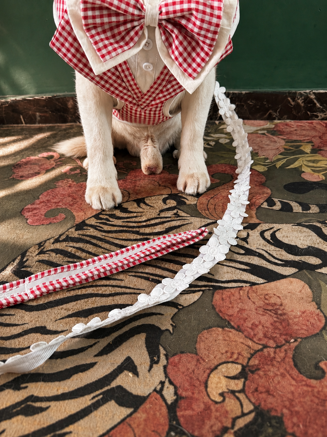 Red Gingham Hat Harness