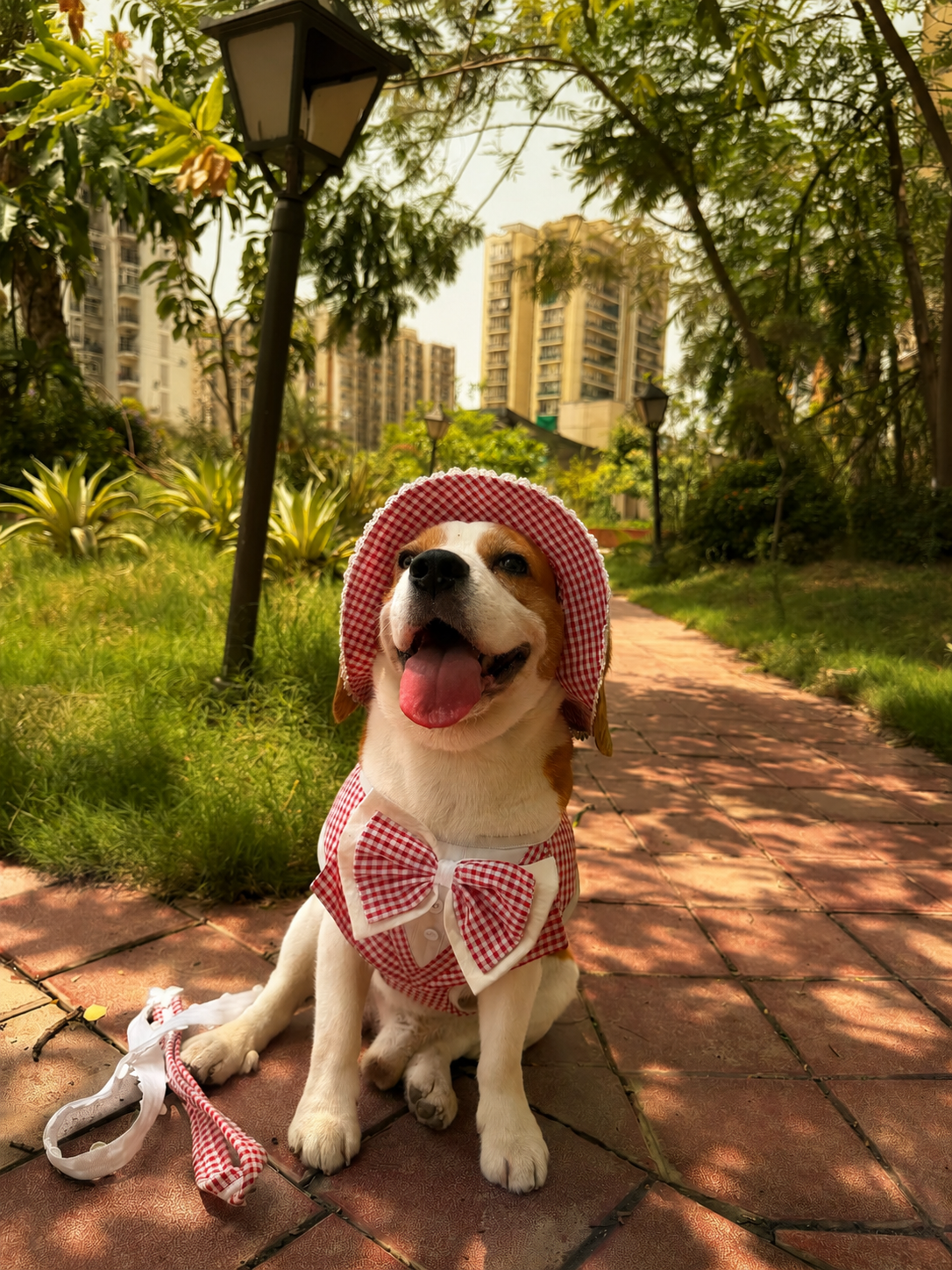 Red Gingham Hat Harness