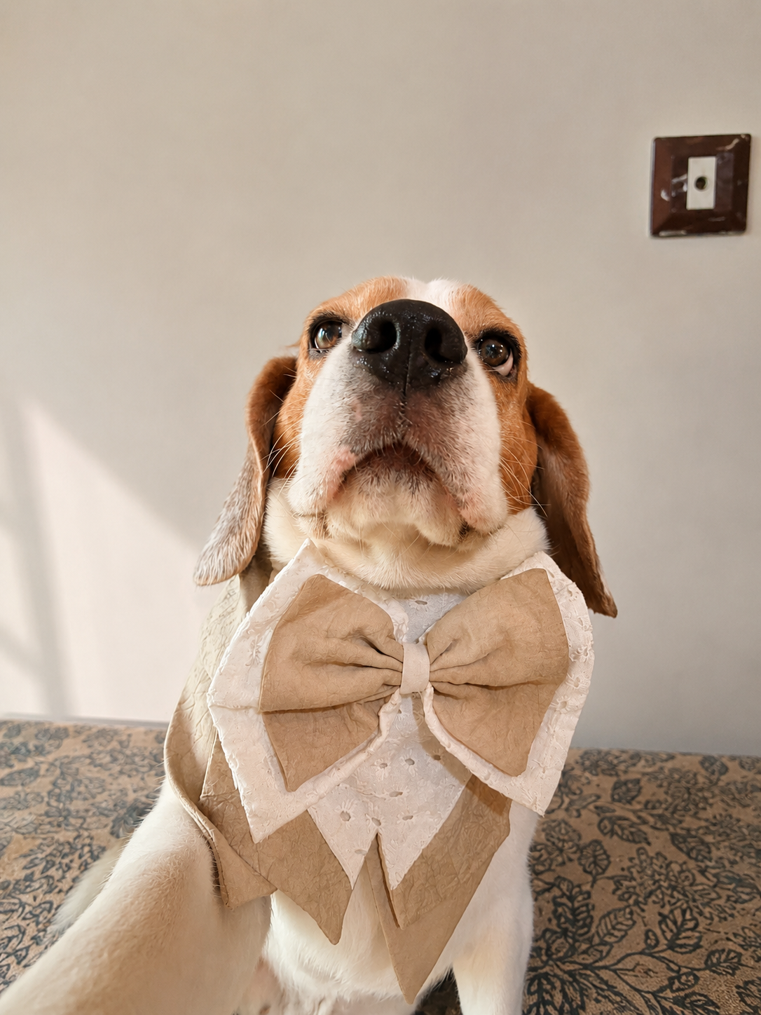 Beige Vest Twinning set