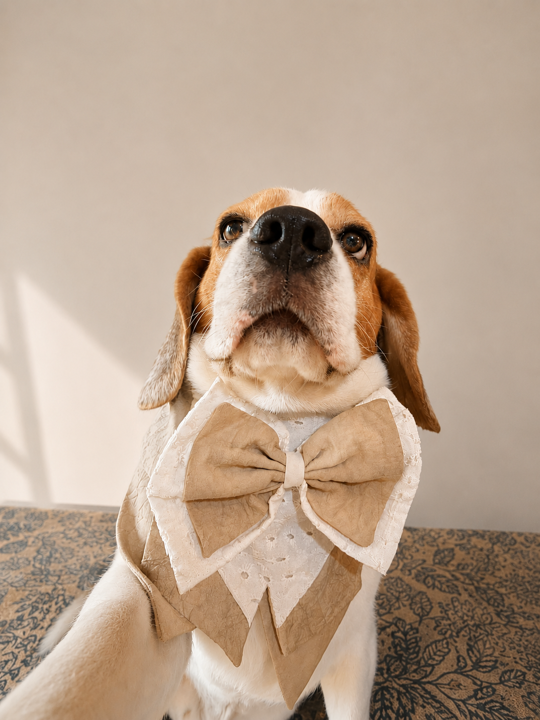 Beige Tuxedo Bandana